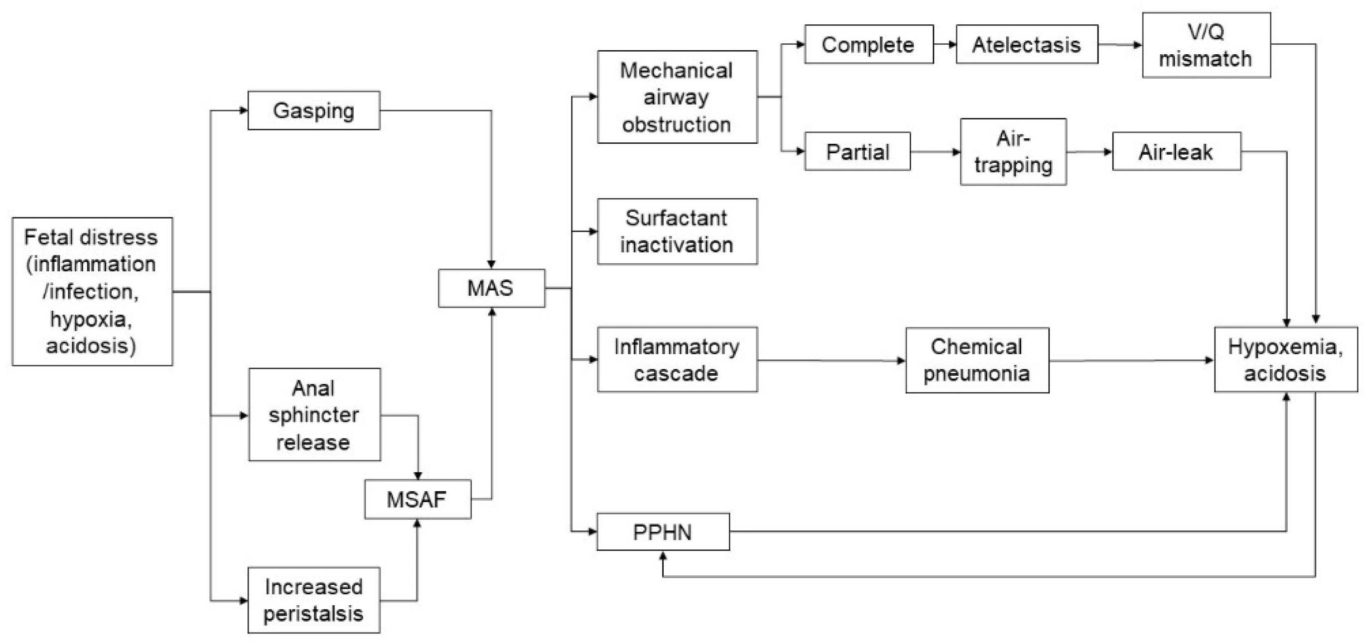 Children 08 00230 g001 Children 08 00230 g001
