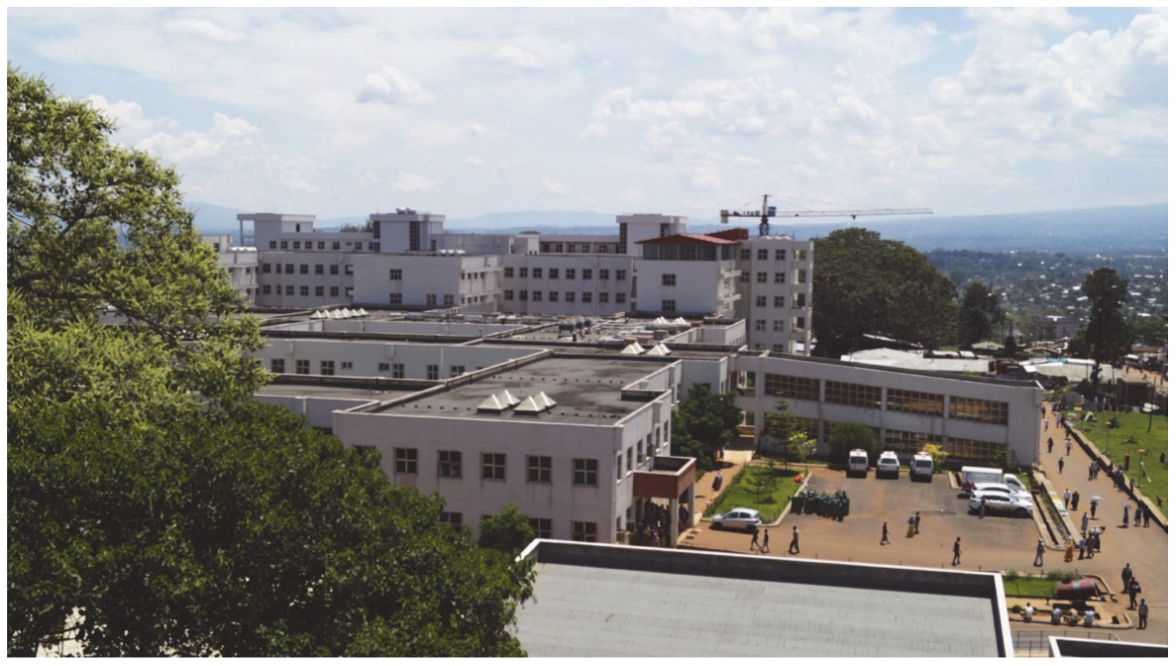 Children 08 00244 g001 550