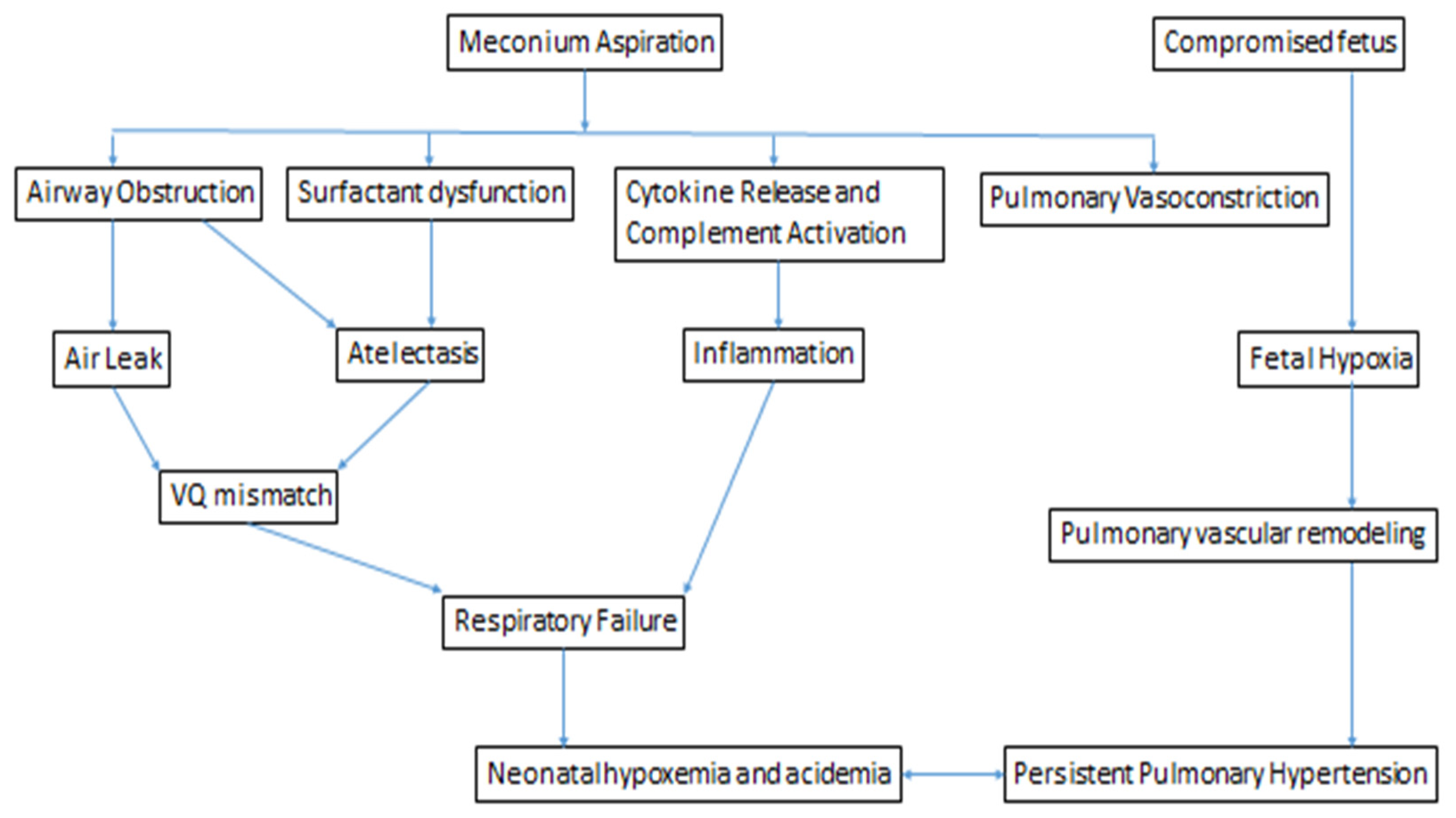 Pediatric Aspiration Syndromes - Pediatric Pulmonologists