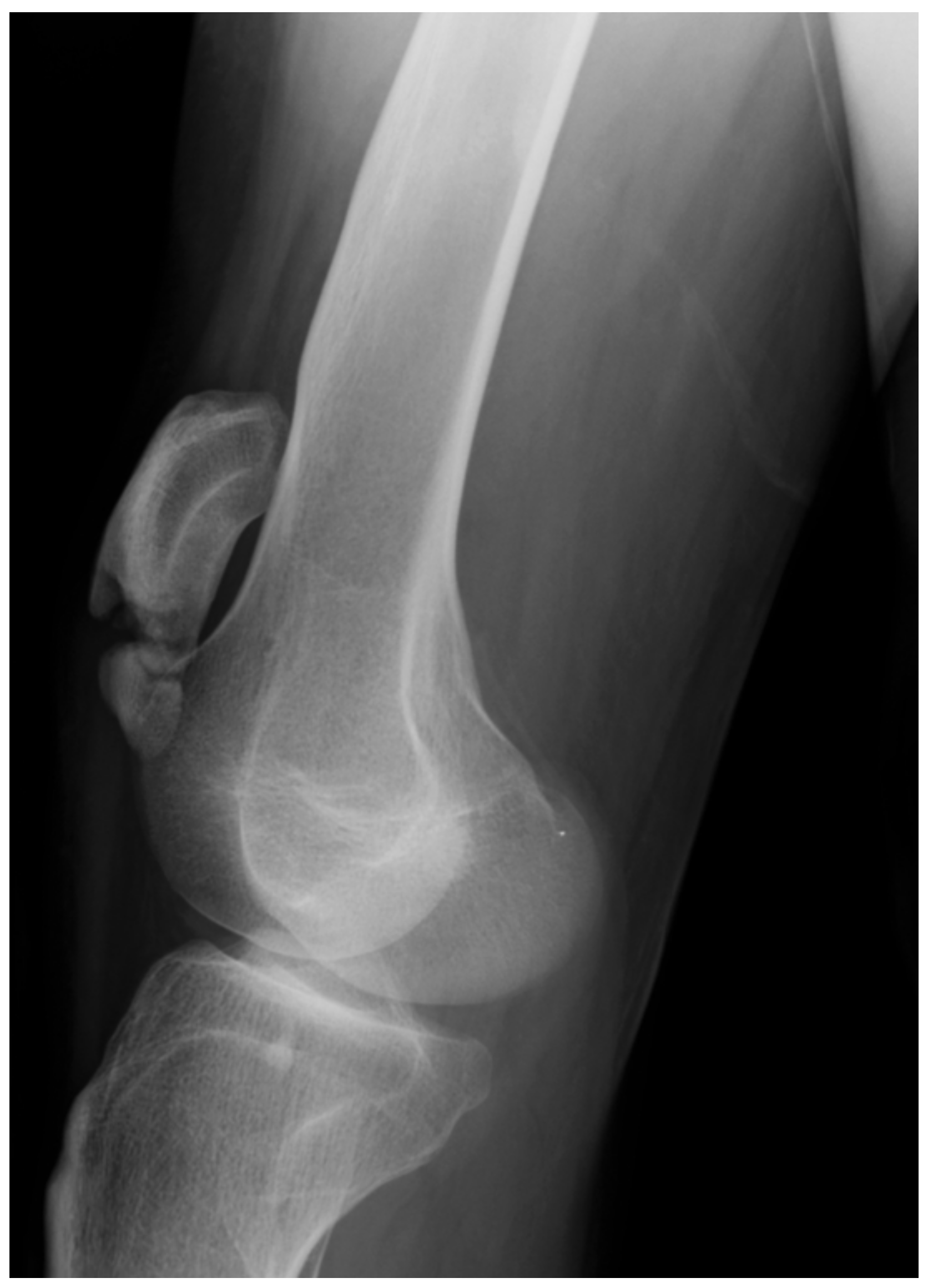 Children 08 00252 g006 Children 08 00252 g006