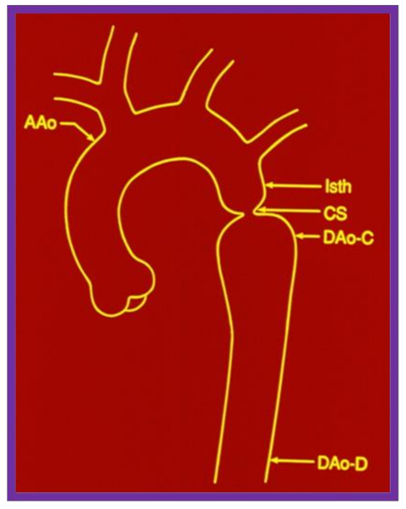 Children 08 00296 g016 Children 08 00296 g016