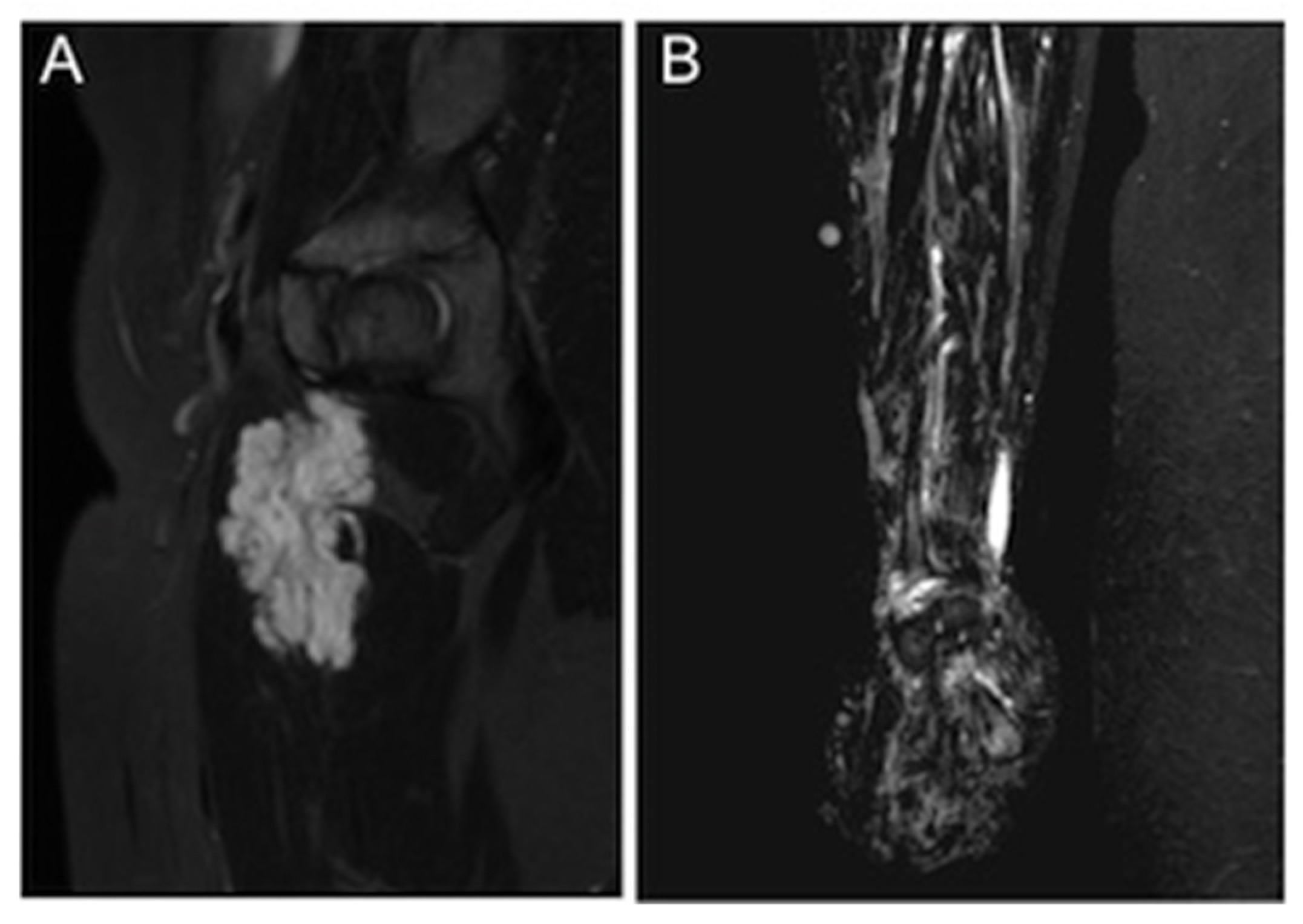 Children 08 00312 g001 Children 08 00312 g001