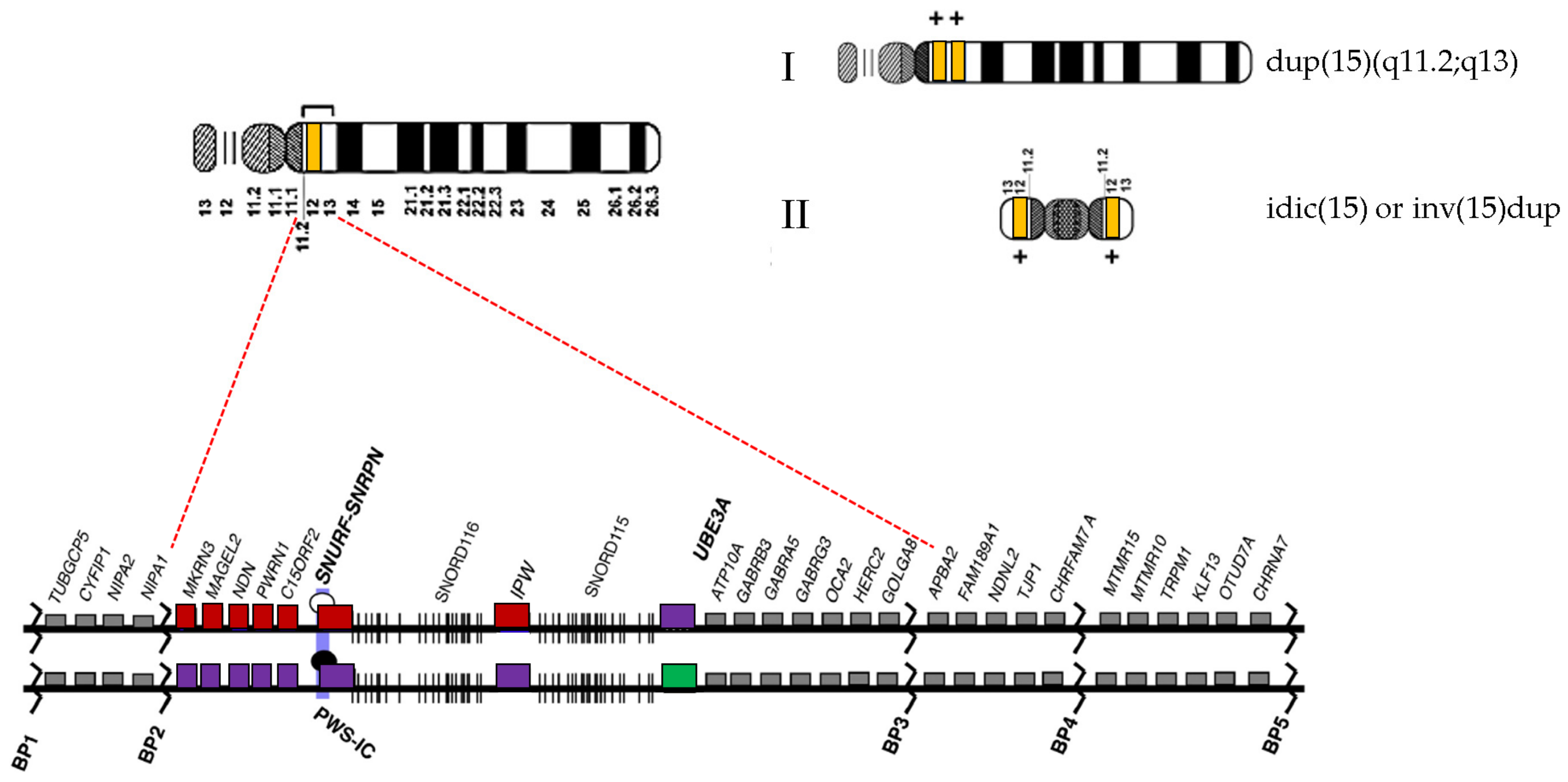 Children 08 00313 g002 Children 08 00313 g002