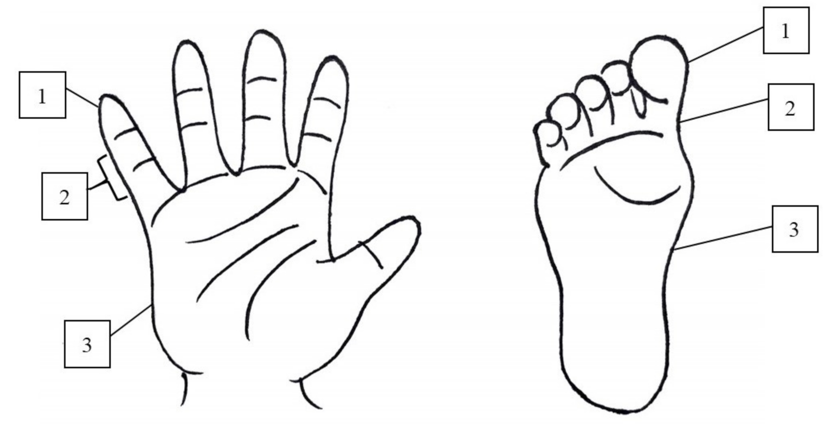 Children 08 00317 g001 Children 08 00317 g001