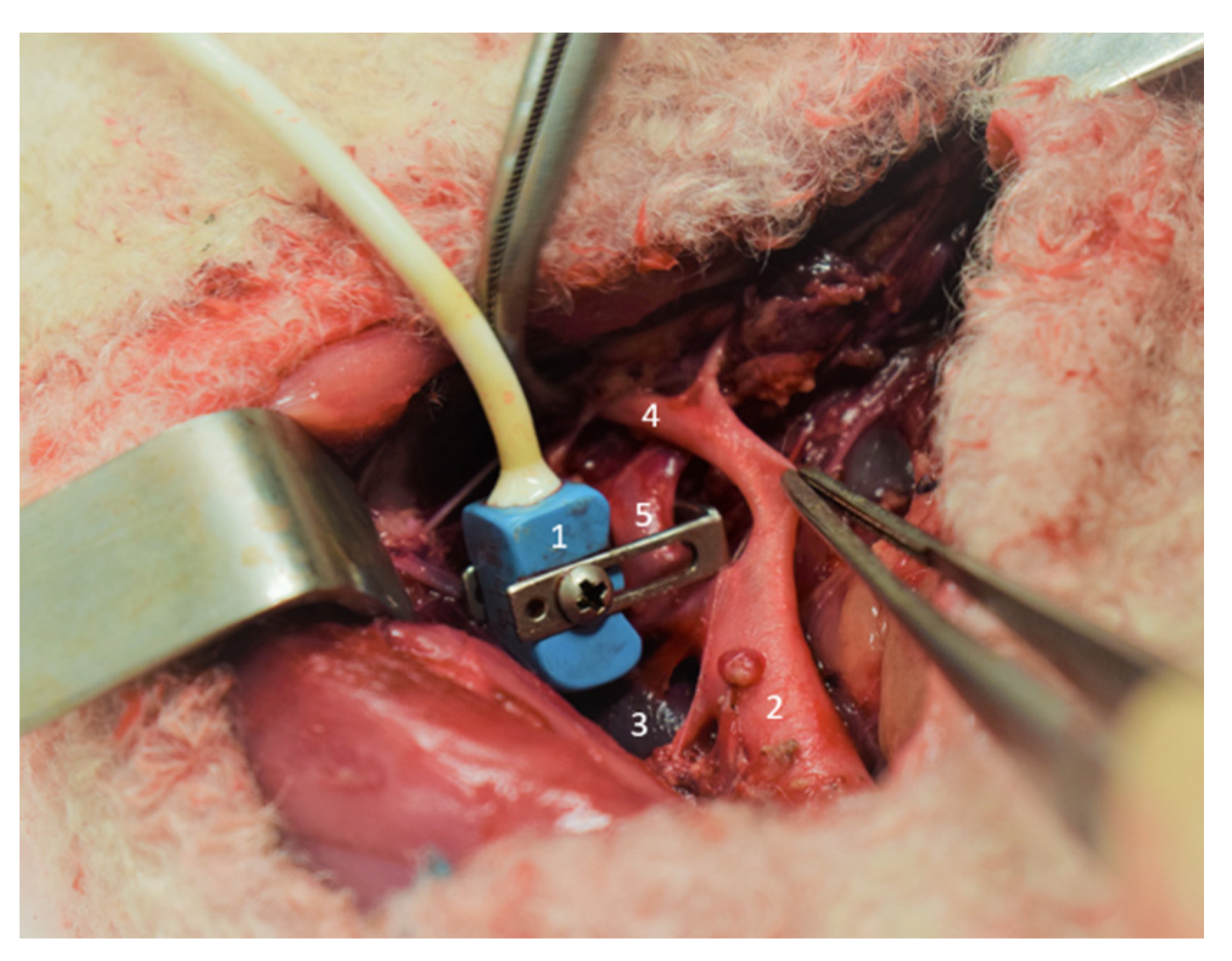 Children 08 00337 g001