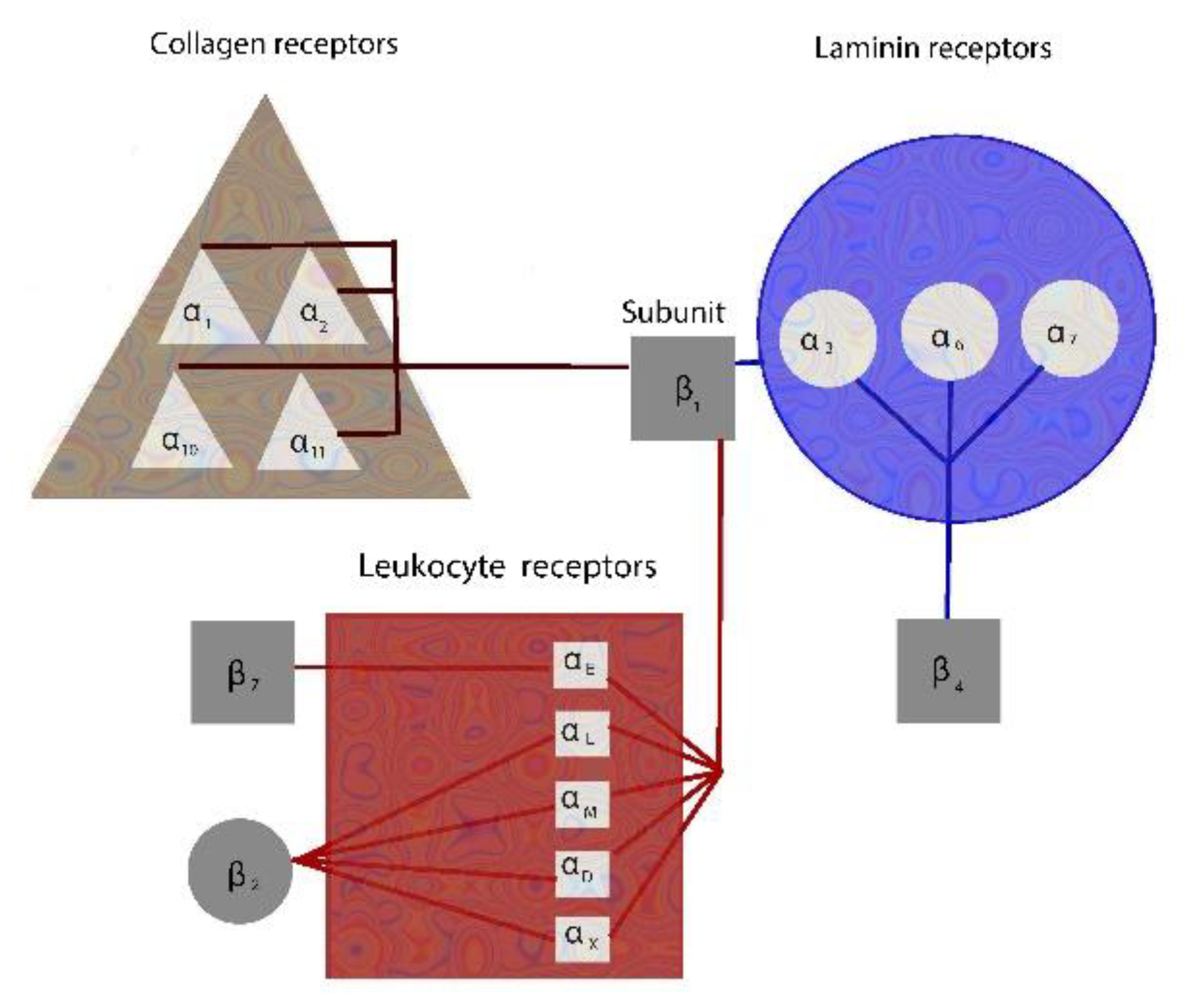 Children 08 00380 g001