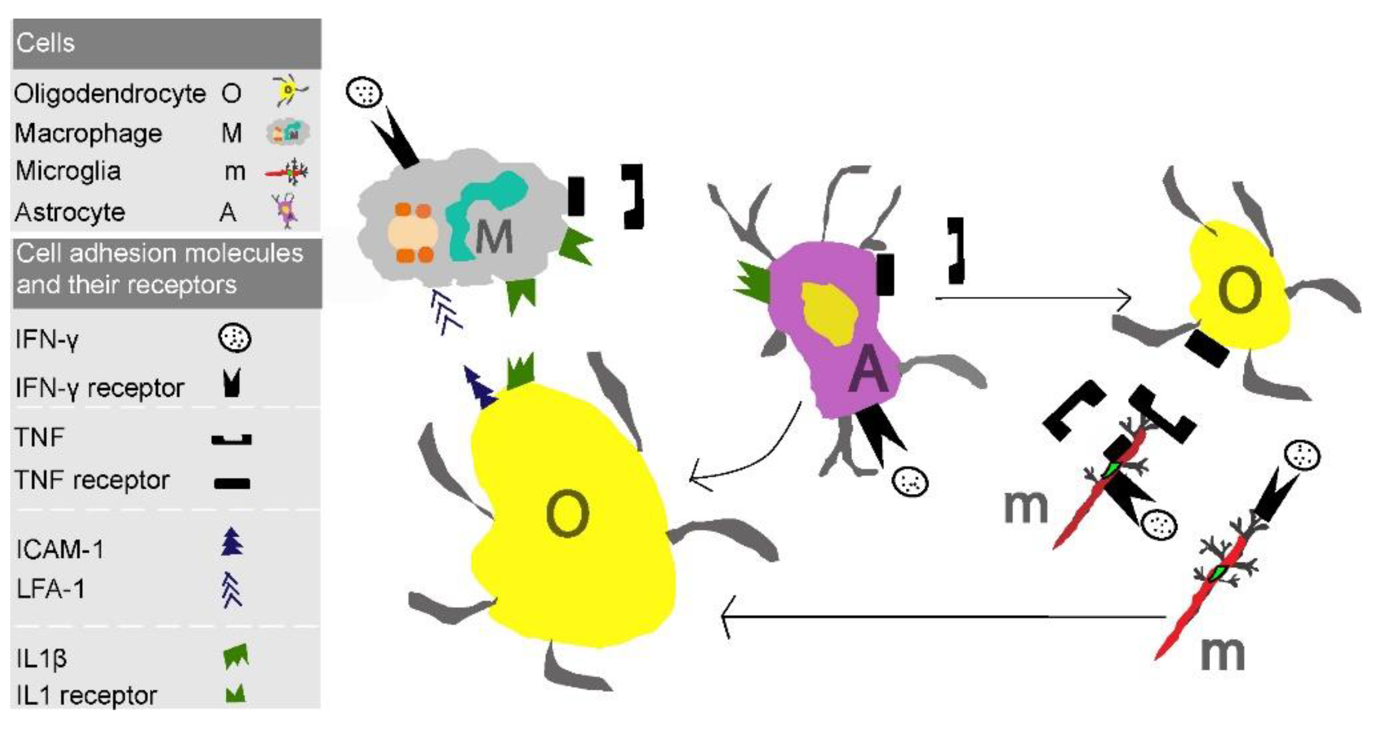 Children 08 00380 g003