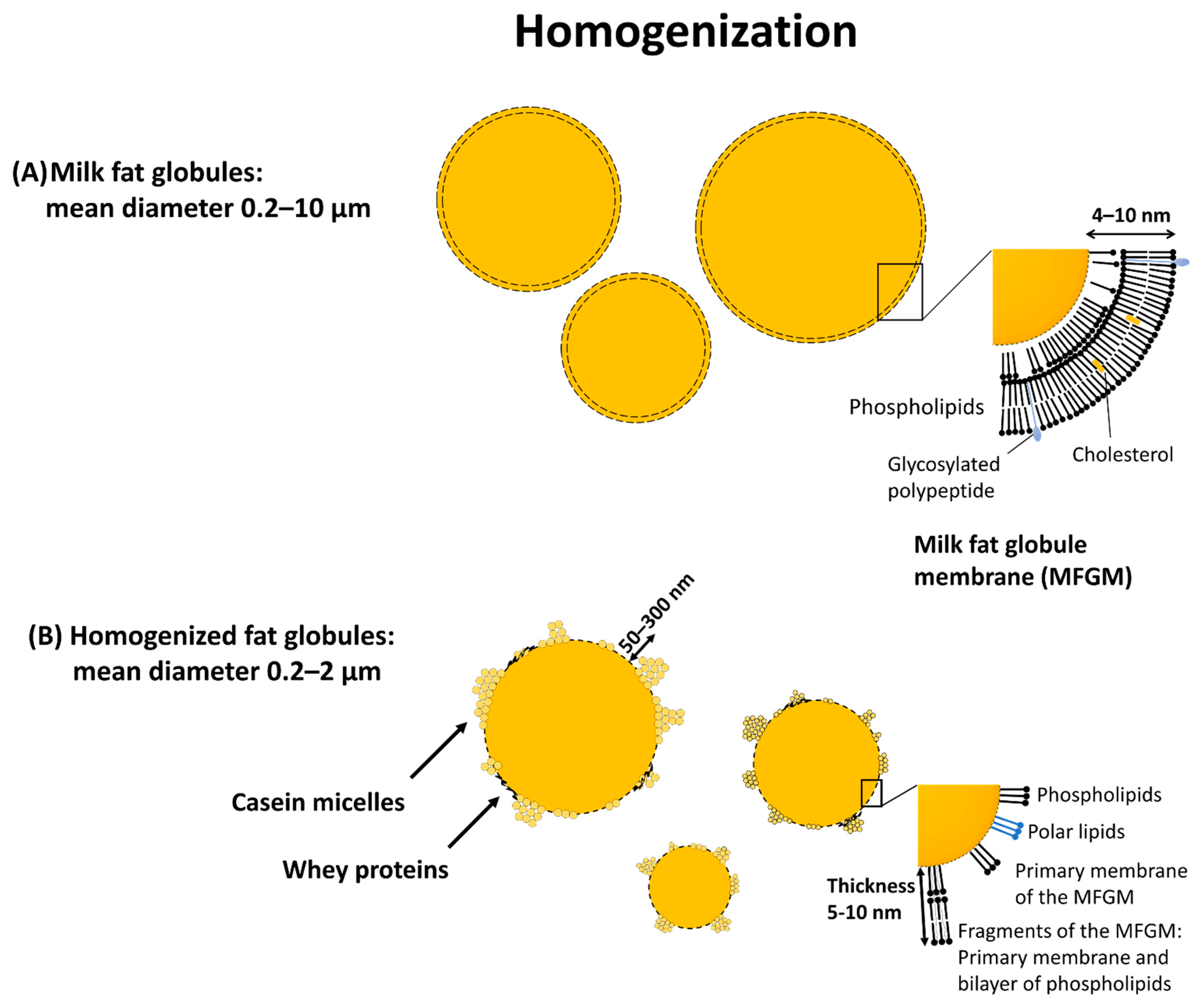 Children 08 00418 g004