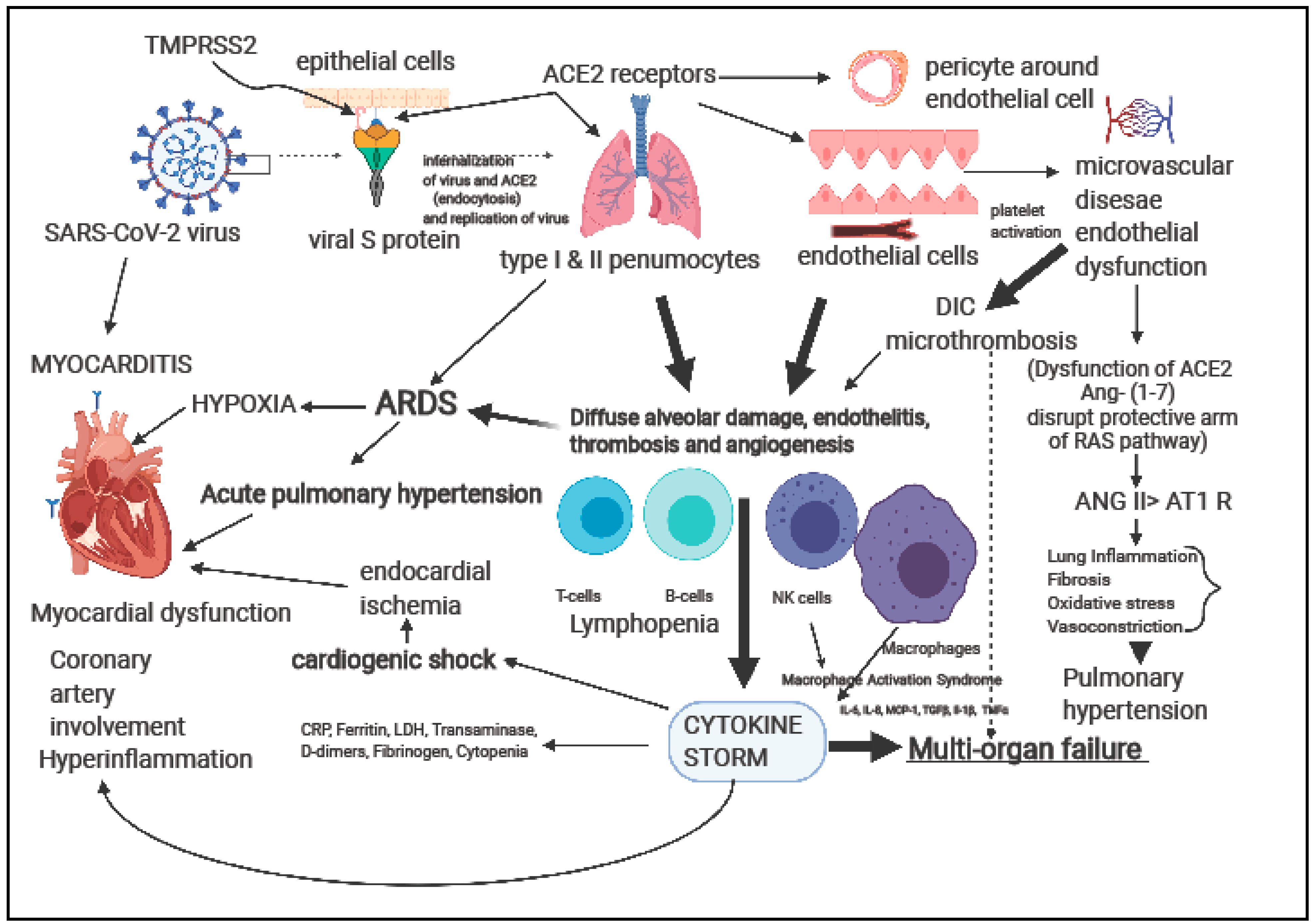 Children 08 00427 g003 Children 08 00427 g003