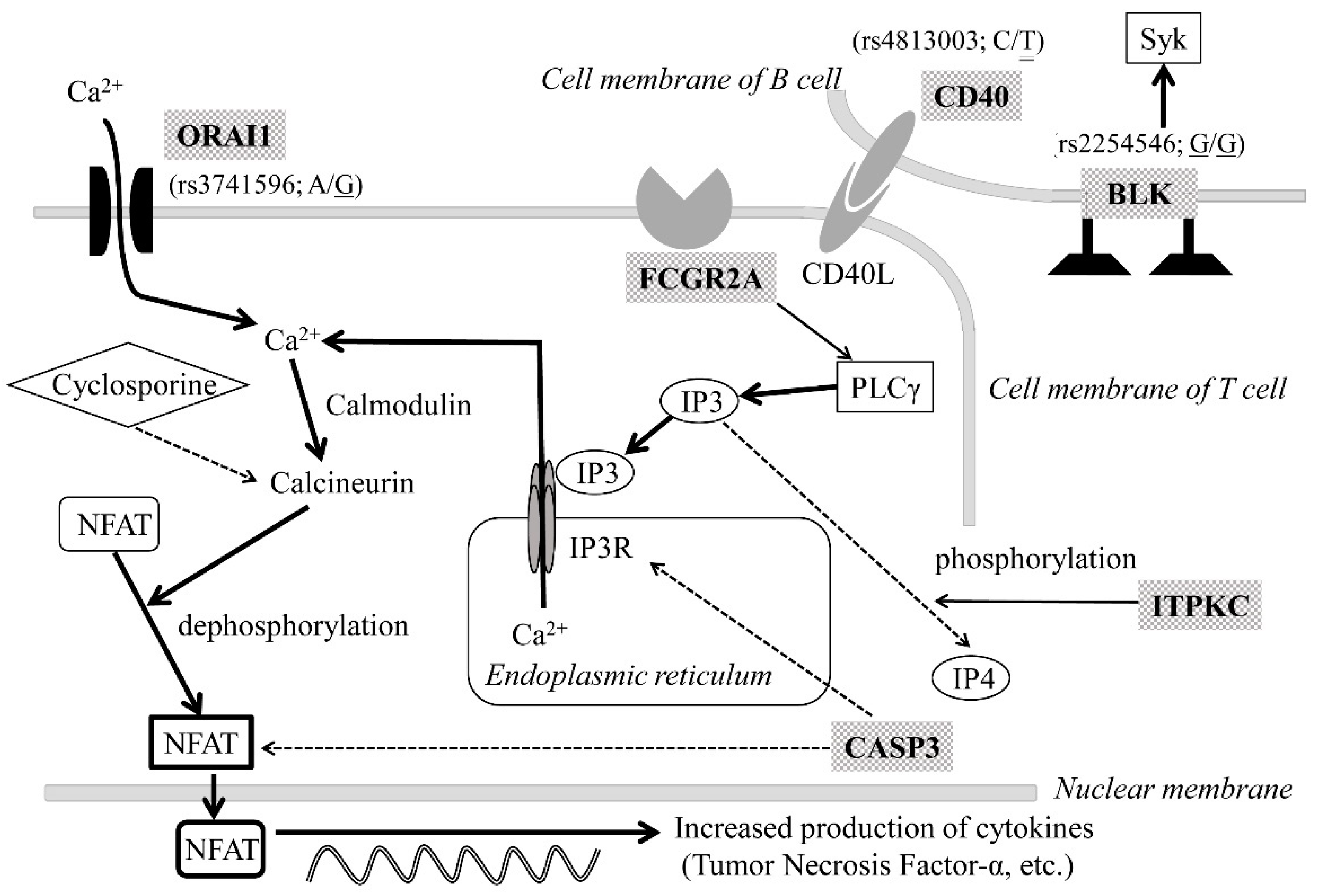 Children 08 00433 g002 Children 08 00433 g002