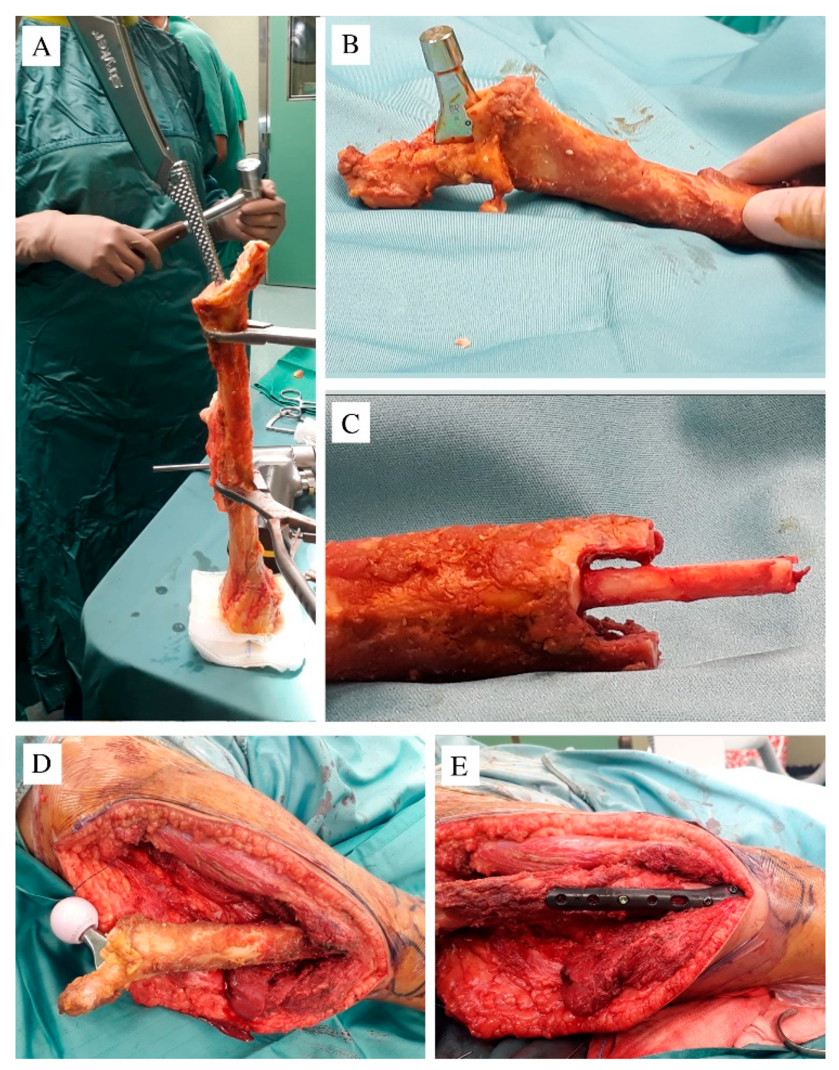 Children 08 00442 g002 Children 08 00442 g002