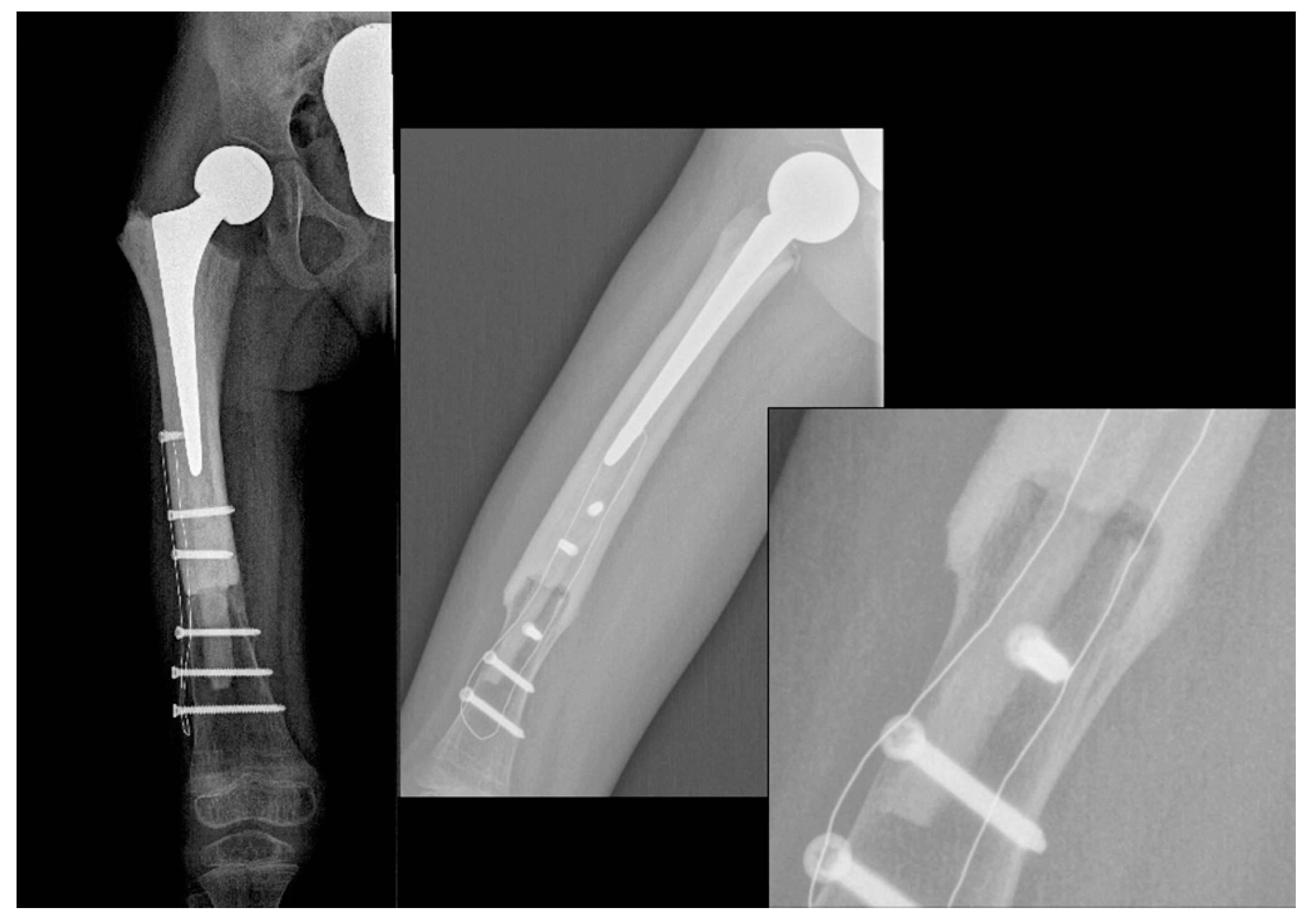 Children 08 00442 g003 Children 08 00442 g003