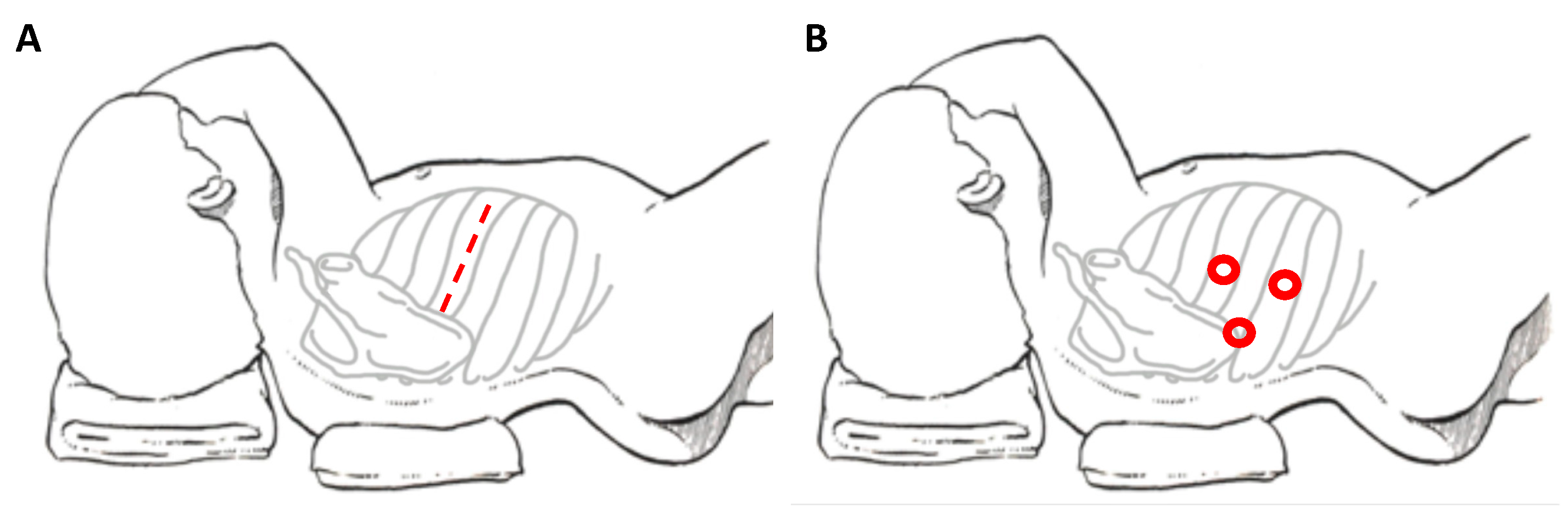 Children 08 00446 g001