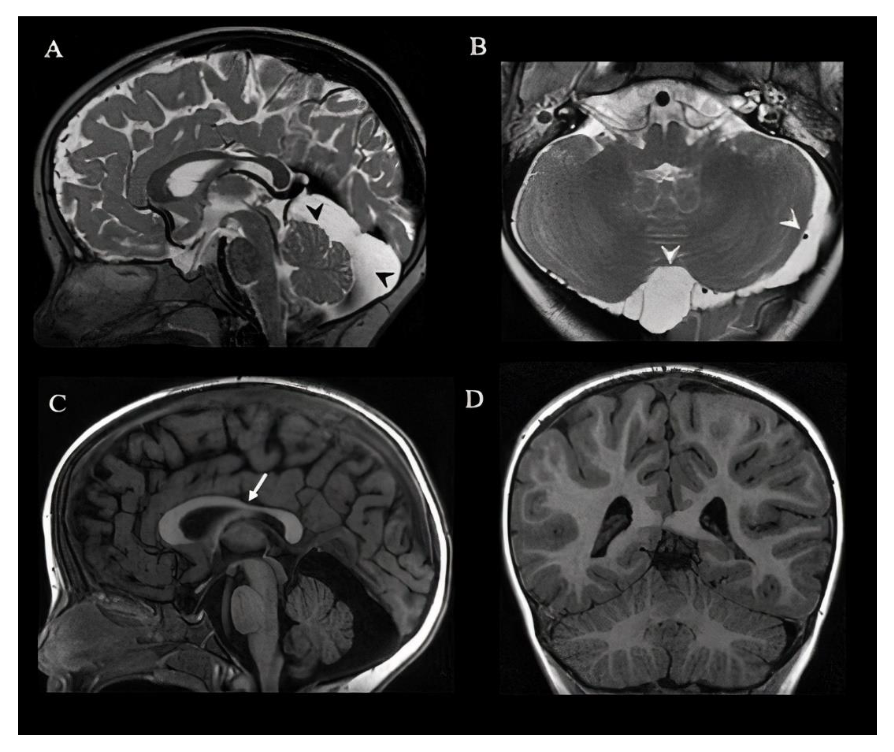 Children 08 00450 g001 Children 08 00450 g001