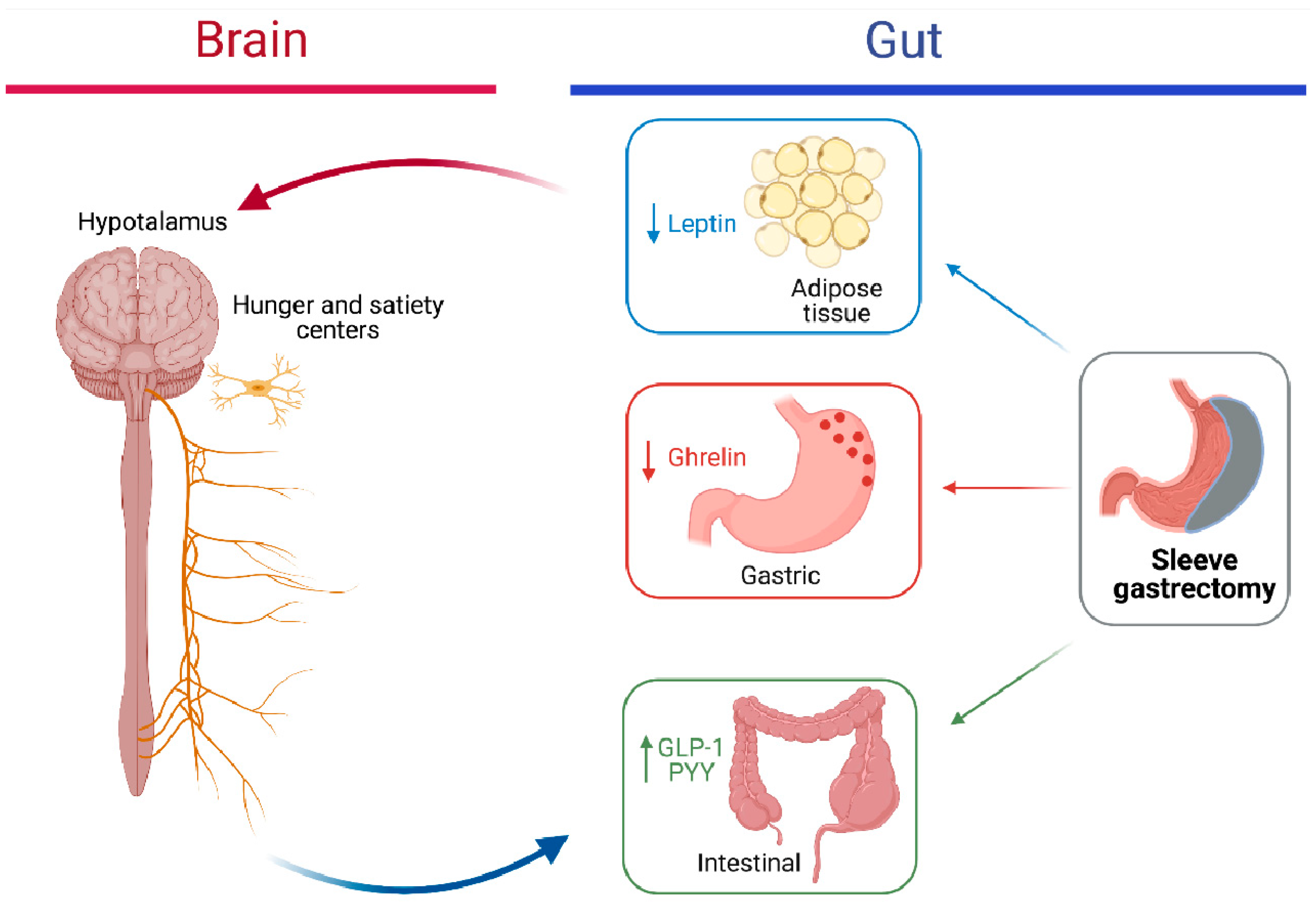 Children 08 00453 g001 Children 08 00453 g001