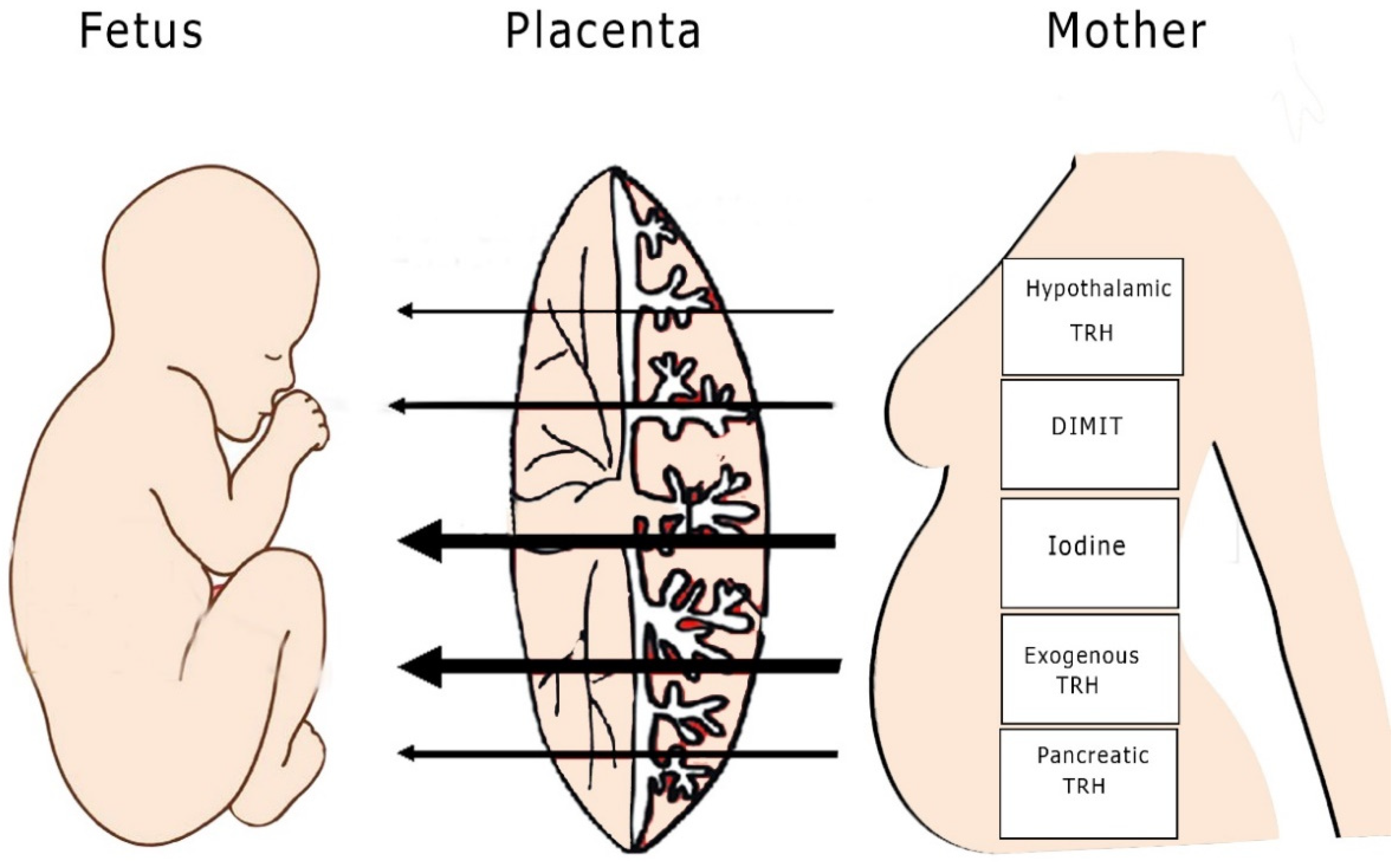 Children 08 00454 g001