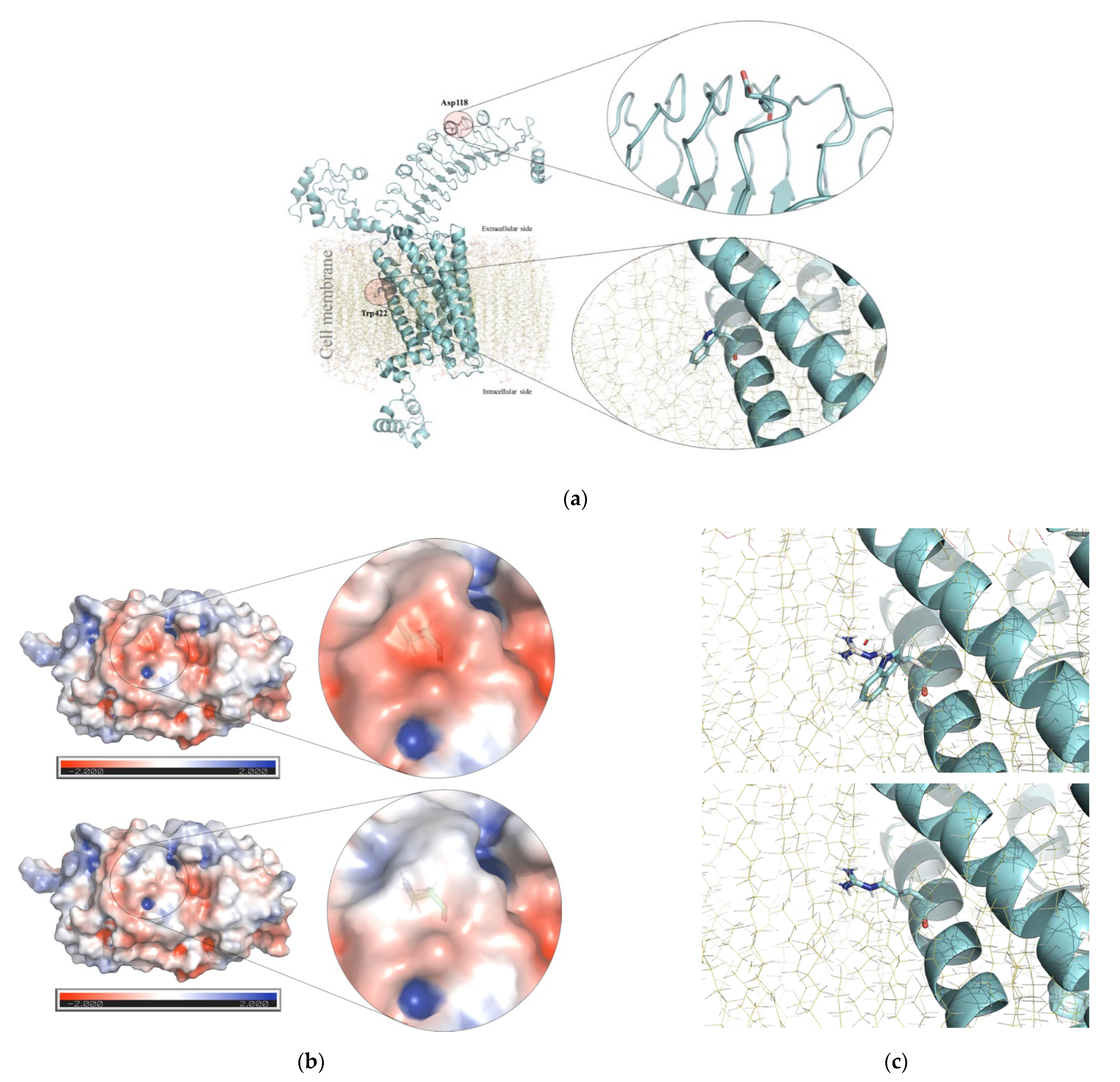 Children 08 00457 g002 Children 08 00457 g002