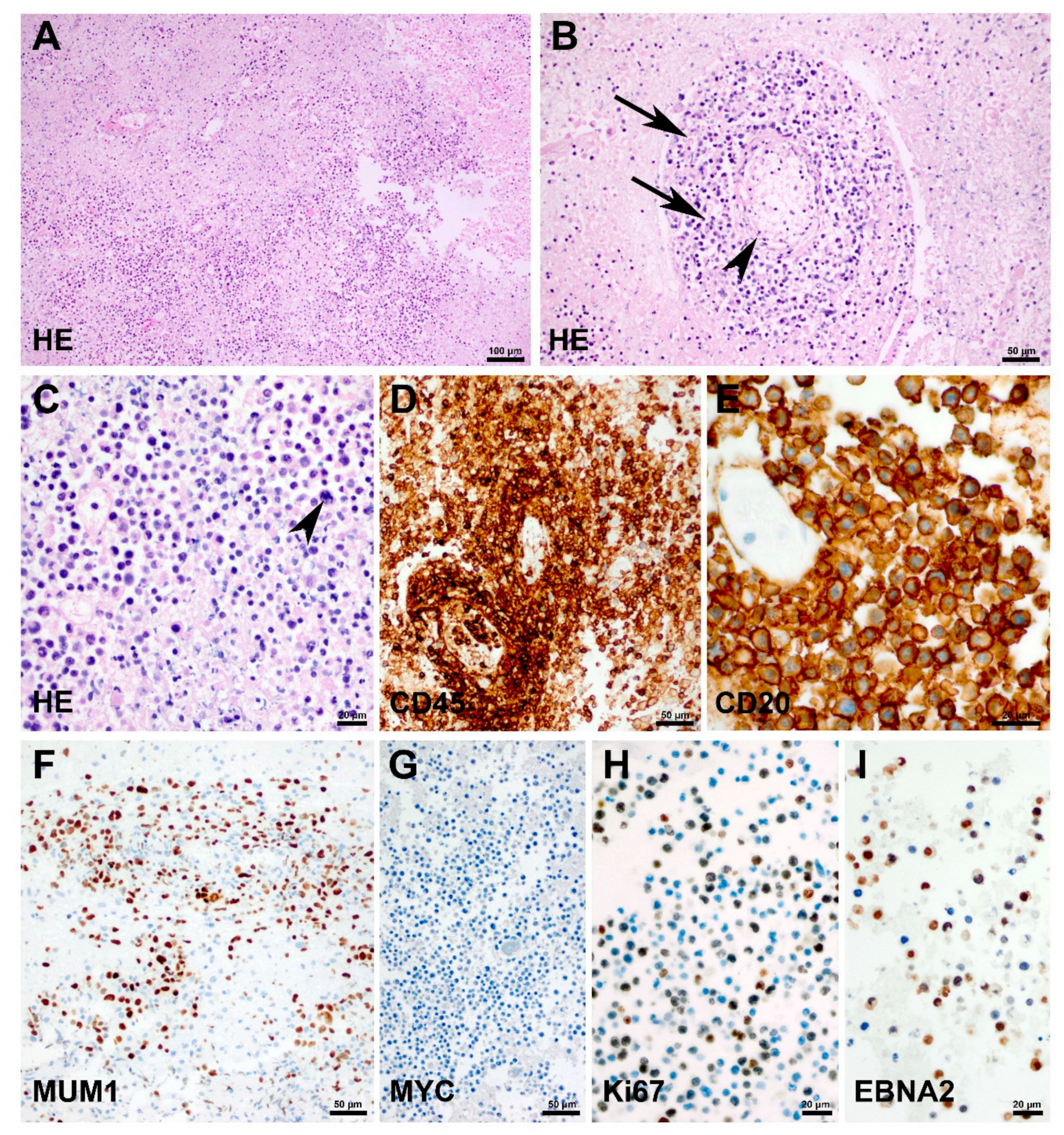 Children 08 00469 g002