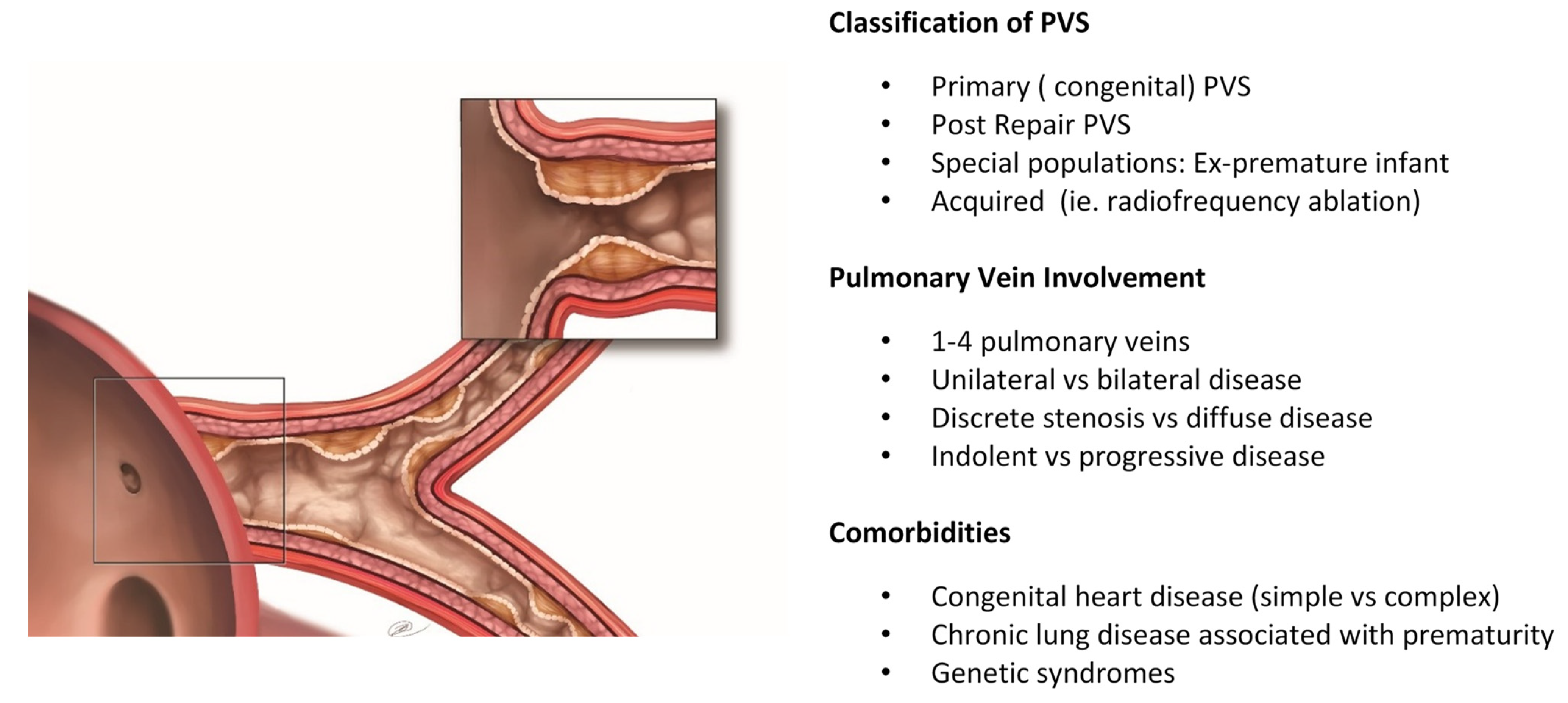 Children 08 00481 g001 Children 08 00481 g001