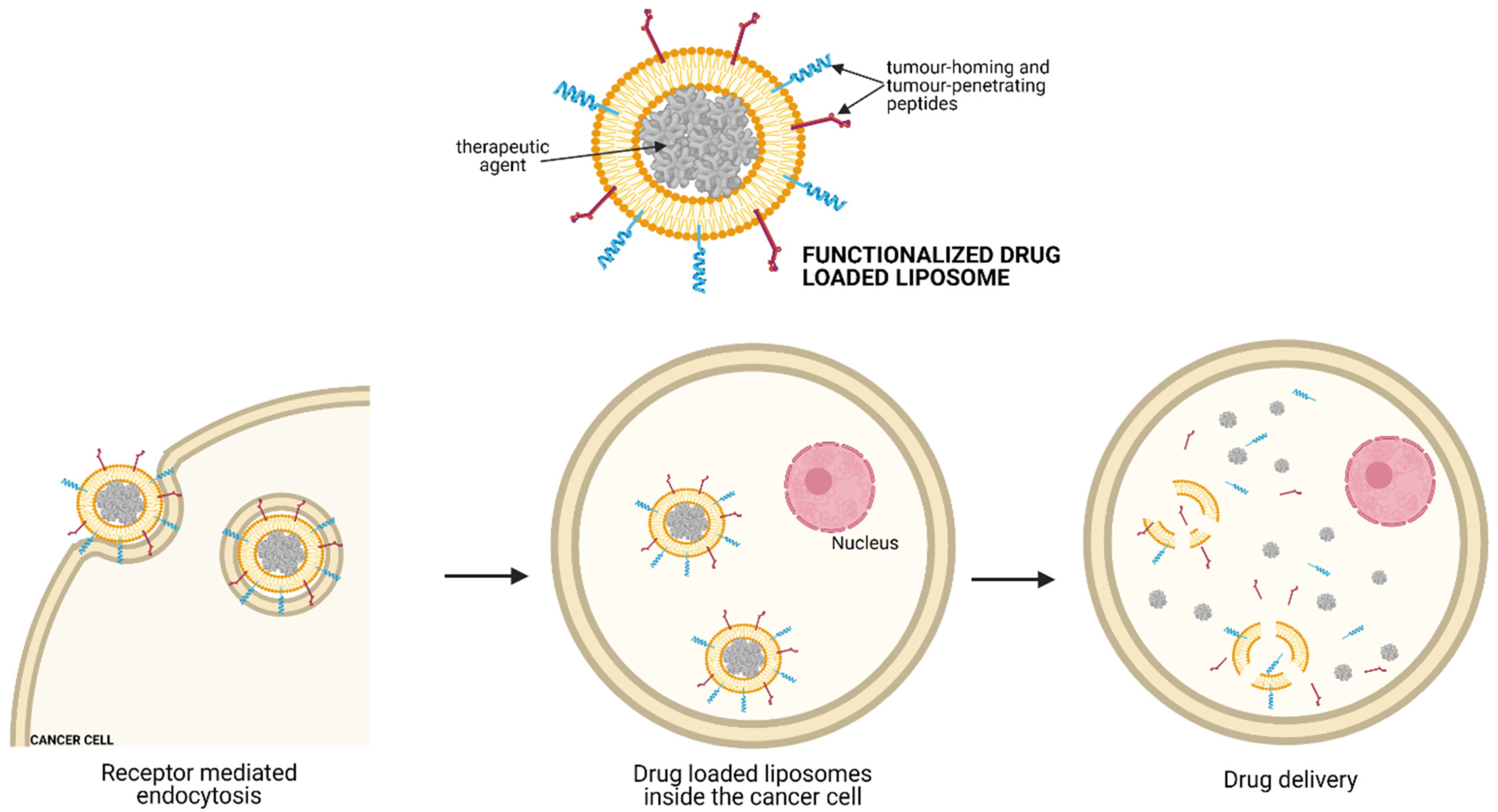 Children 08 00482 g002