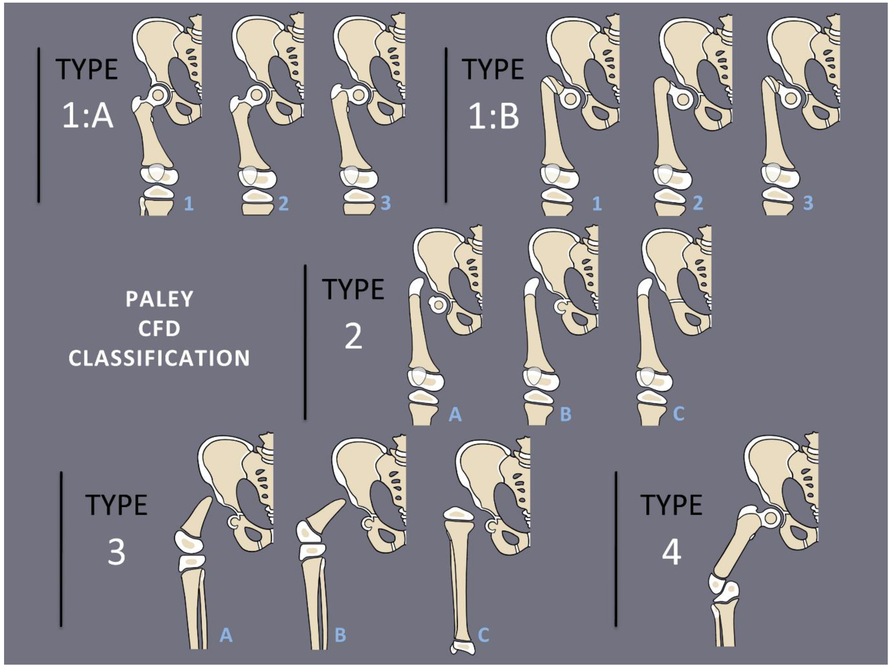 Children 08 00495 g001