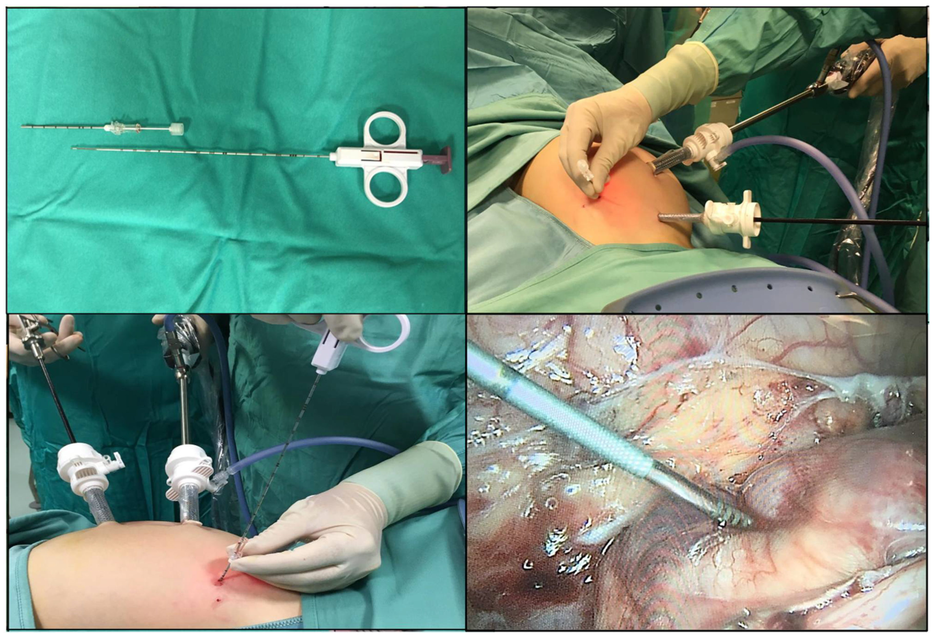 Children 08 00500 g002