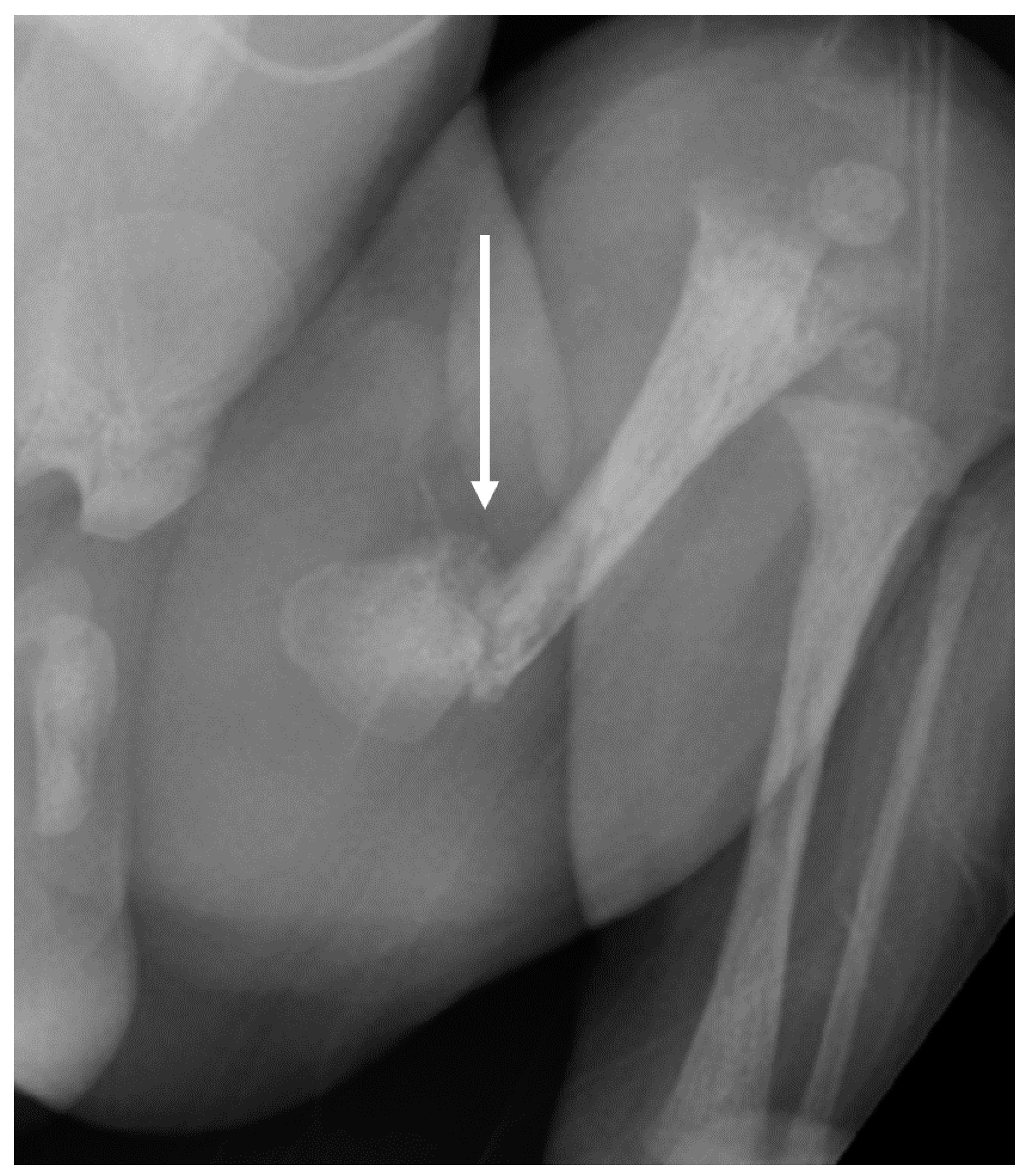 Children 08 00512 g006