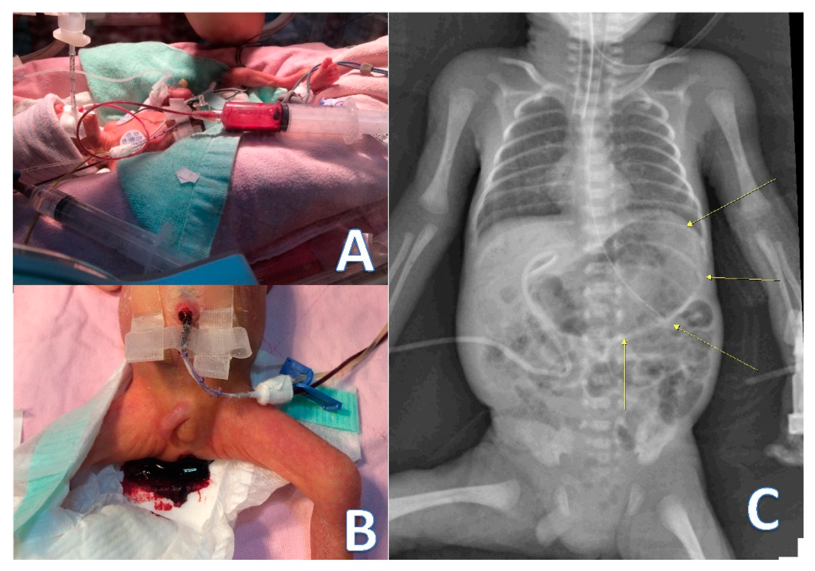 Children 08 00545 g001