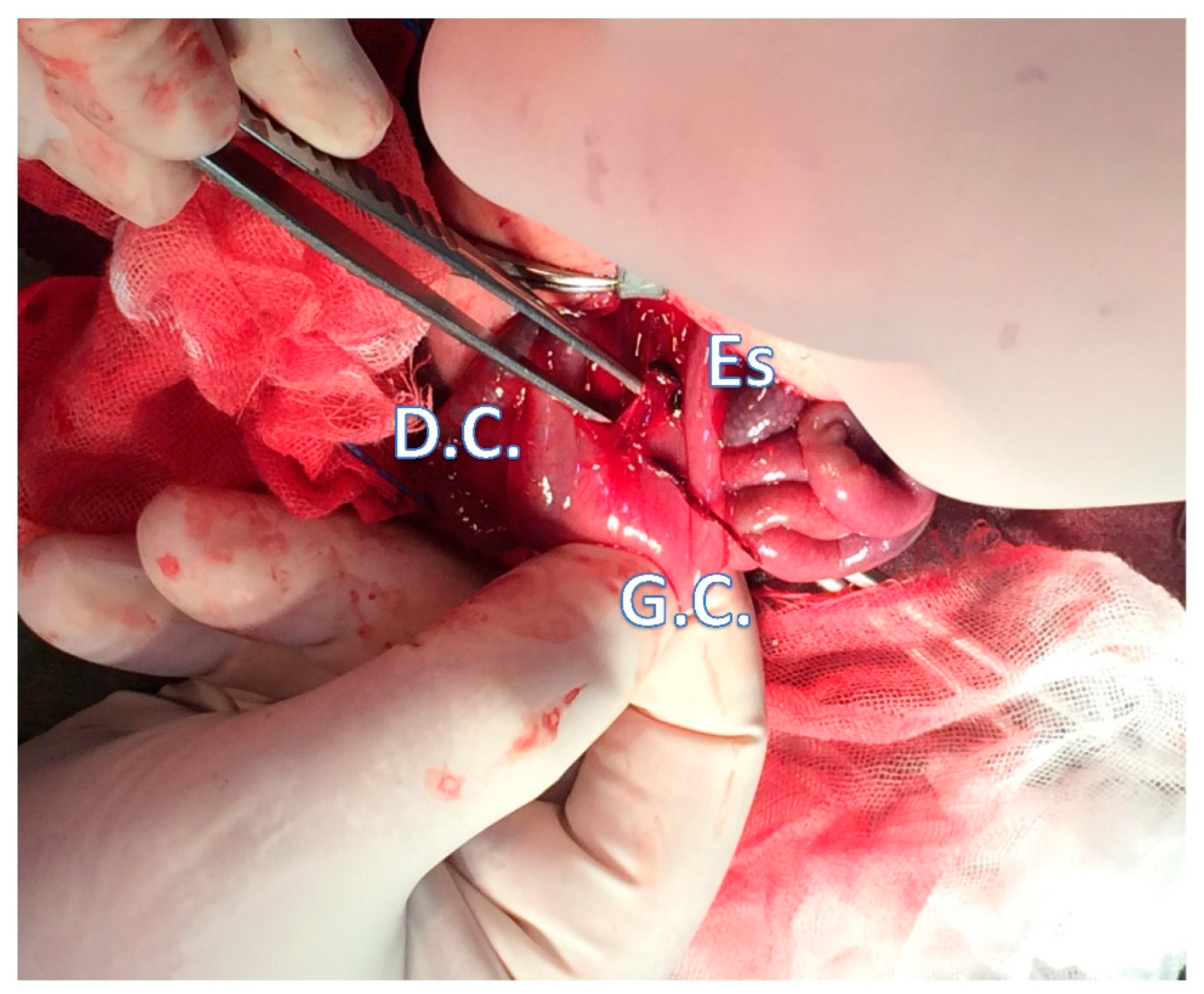 Children 08 00545 g002