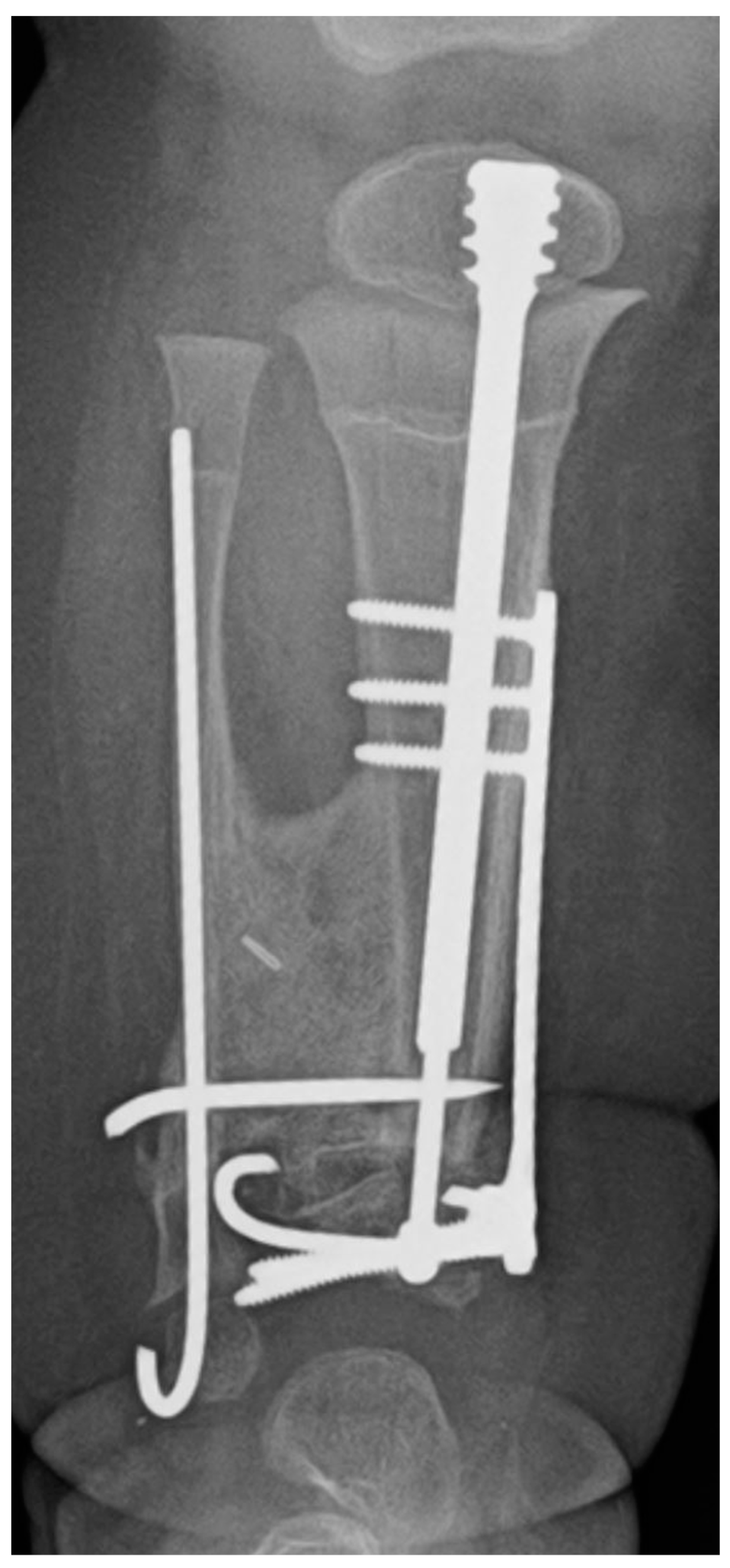 Children 08 00547 g006