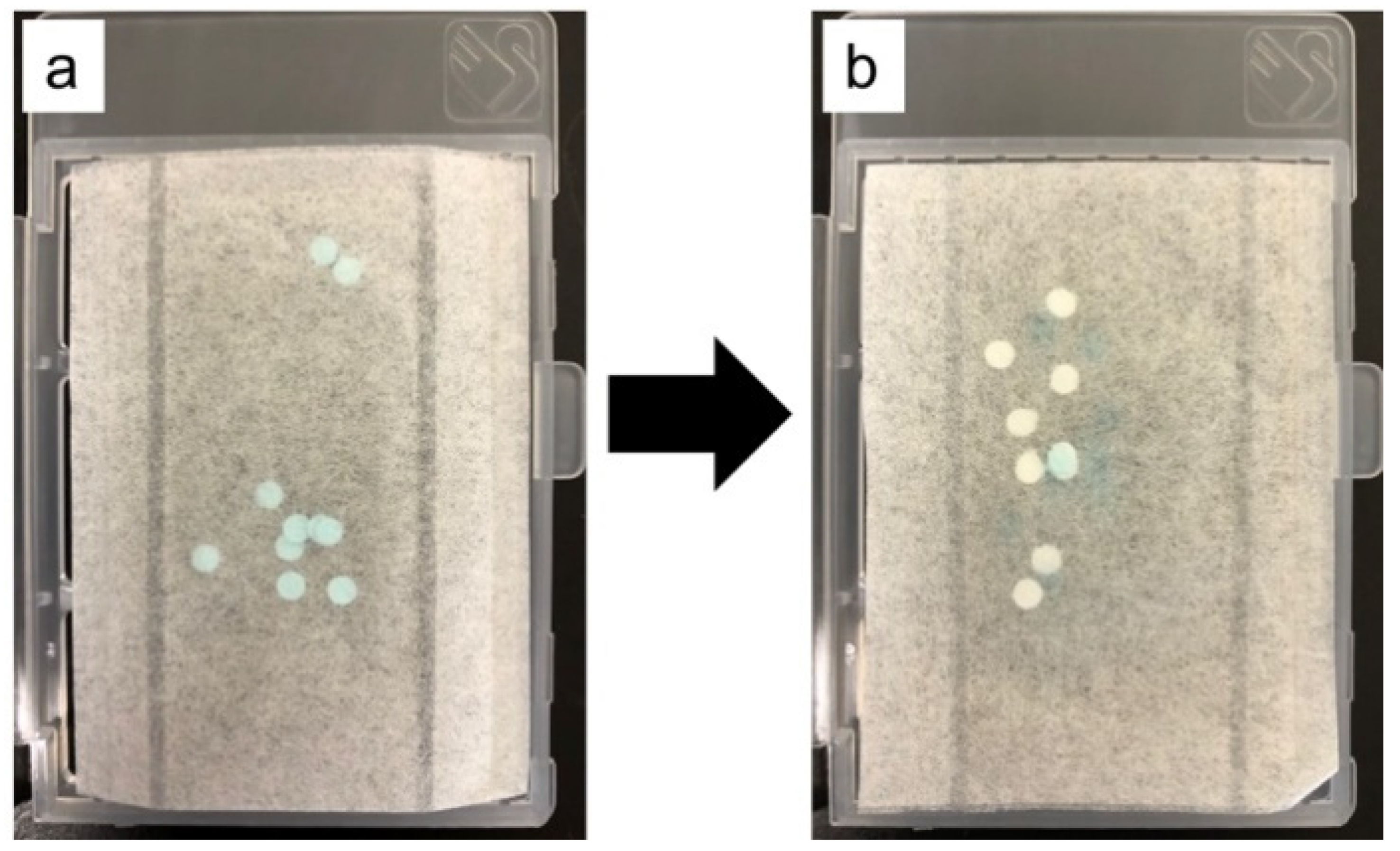 Children Free FullText Clinical Evaluation of a Novel Urine
