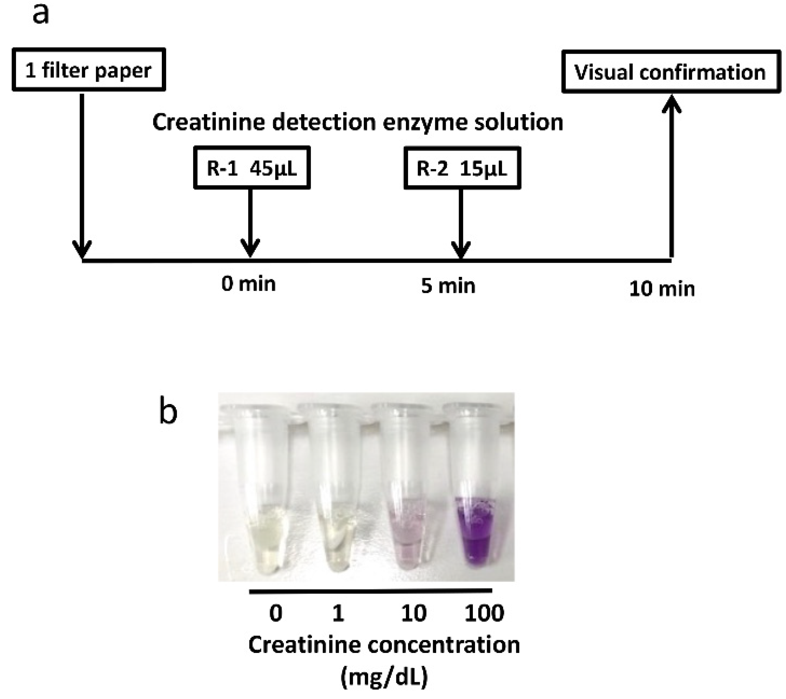 Children 08 00561 g003 Children 08 00561 g003