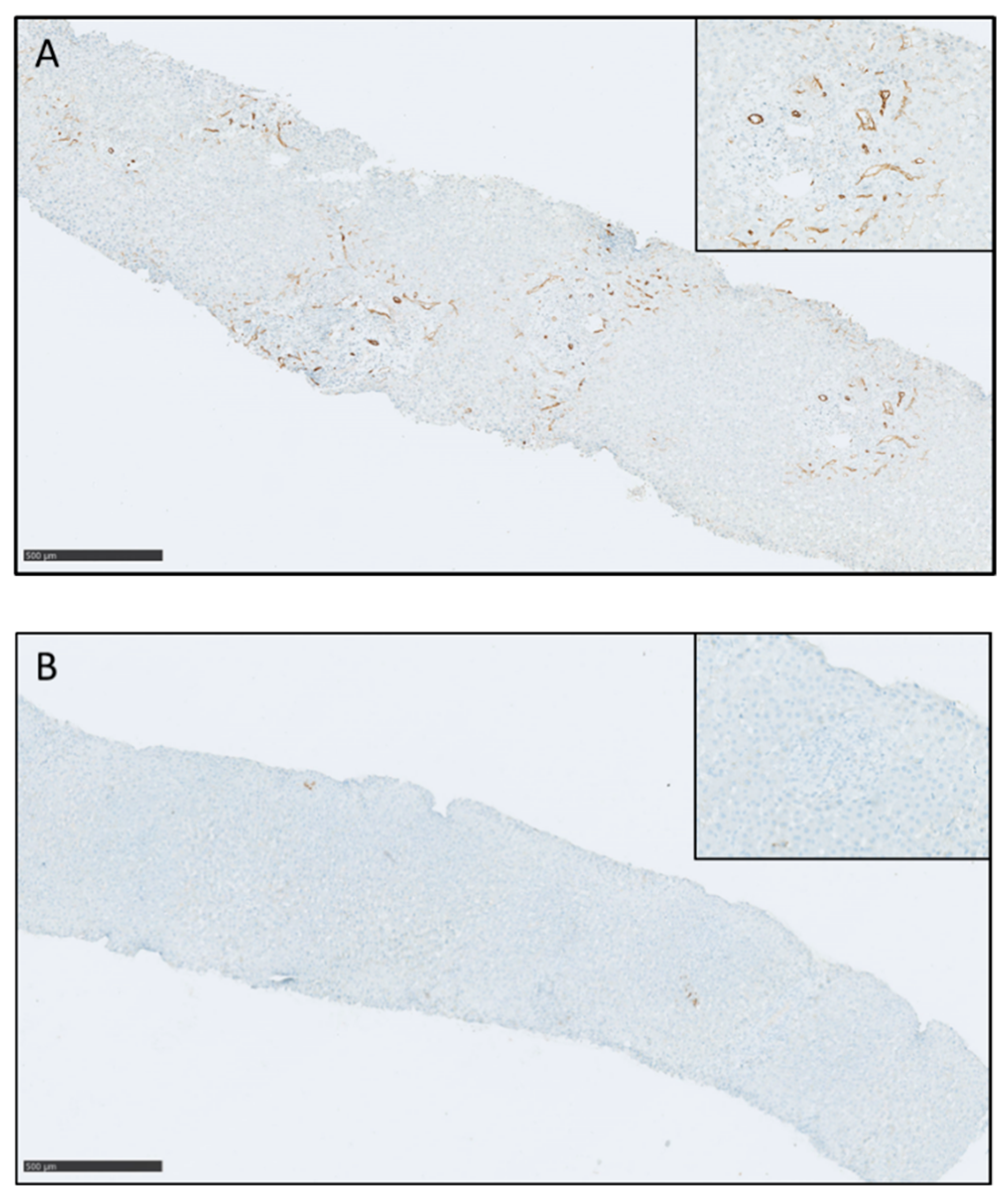 Children 08 00600 g003