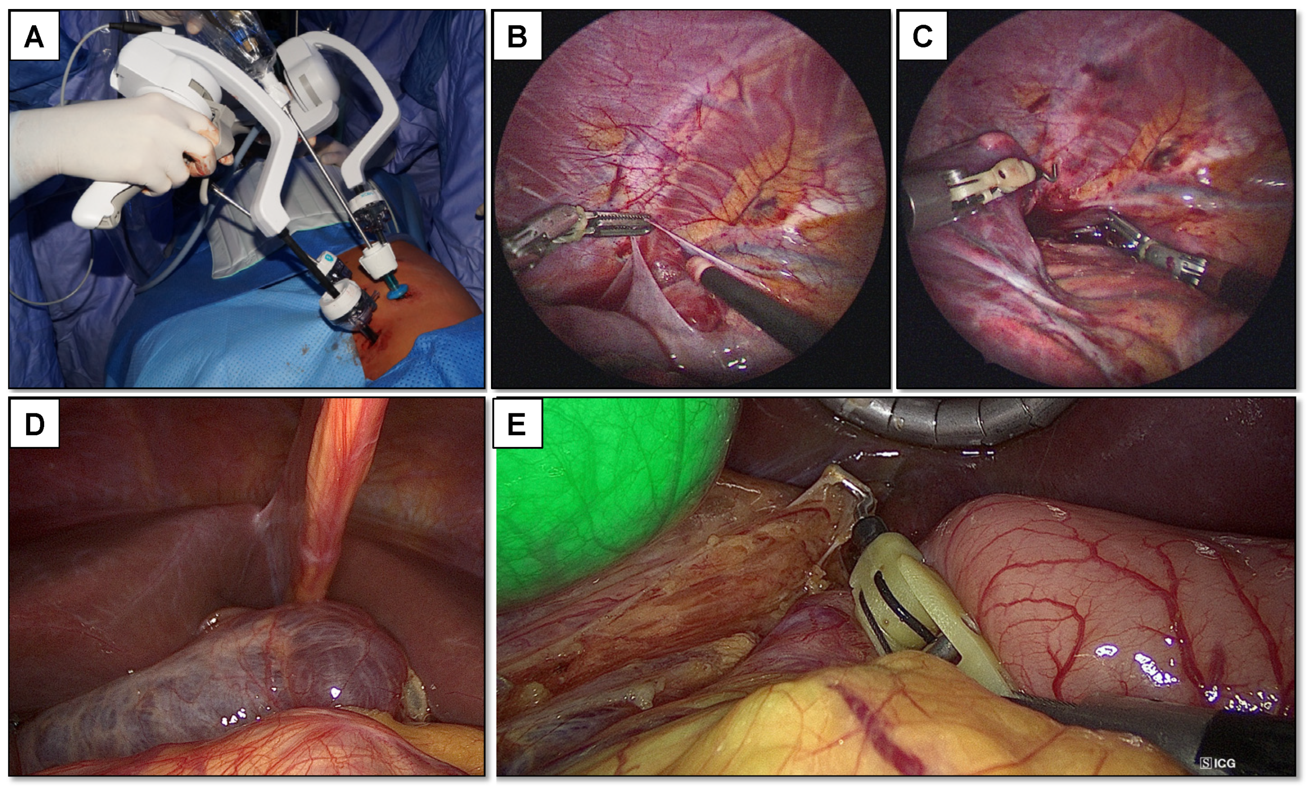 Children 08 00603 g001