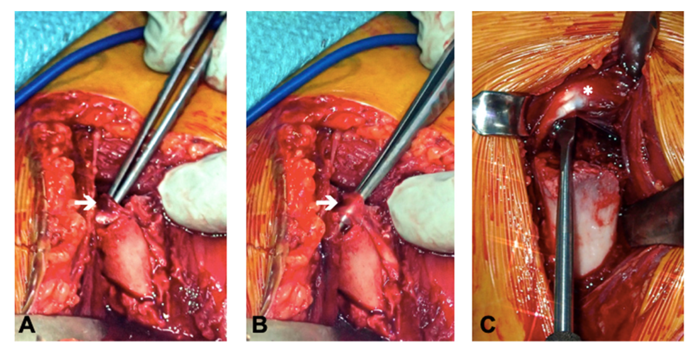 Children 08 00635 g003 550