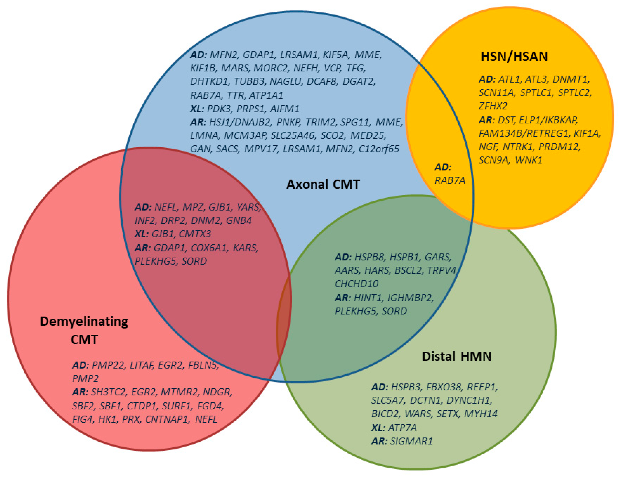 Children 08 00687 g001