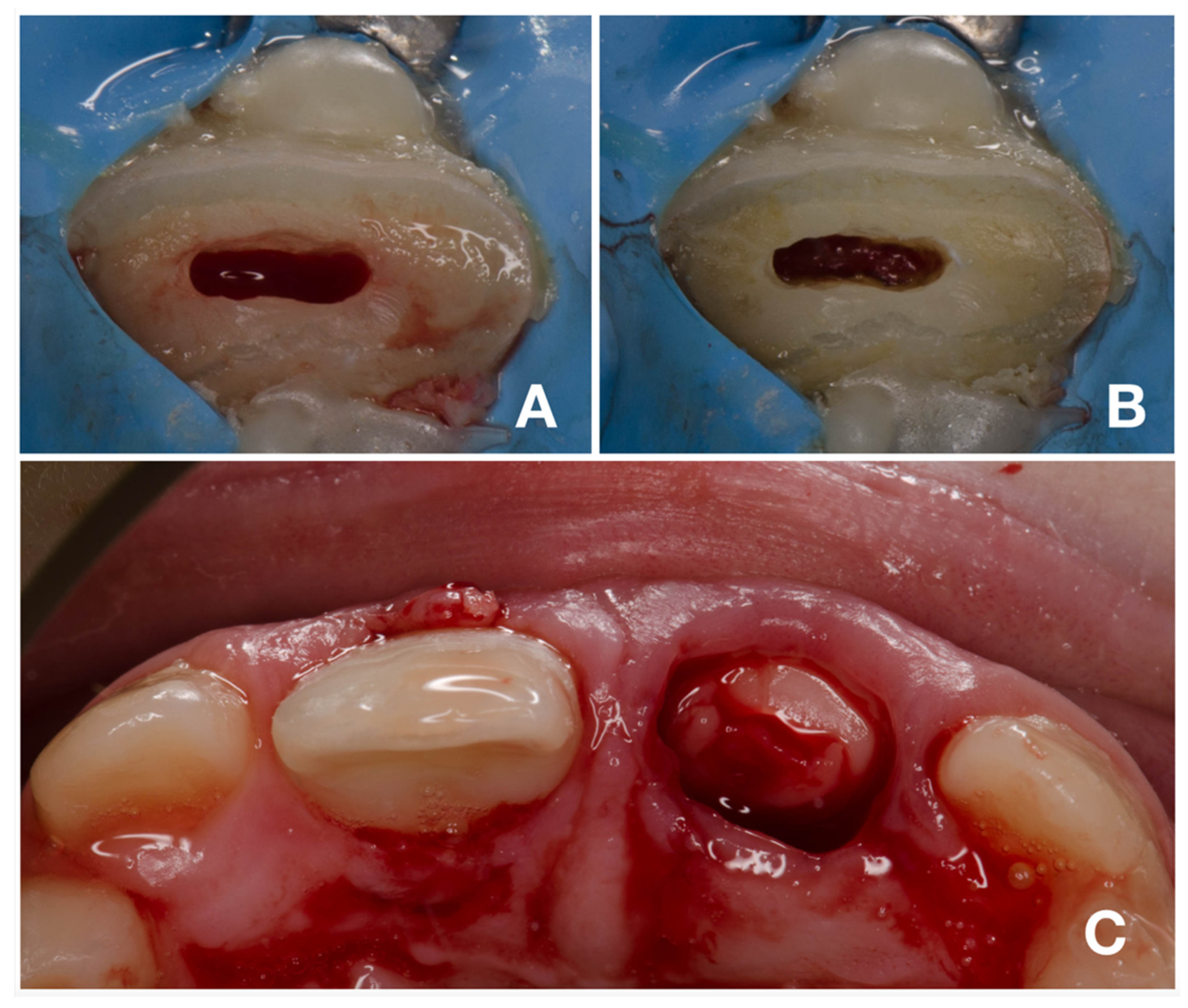 Children 08 00725 g005