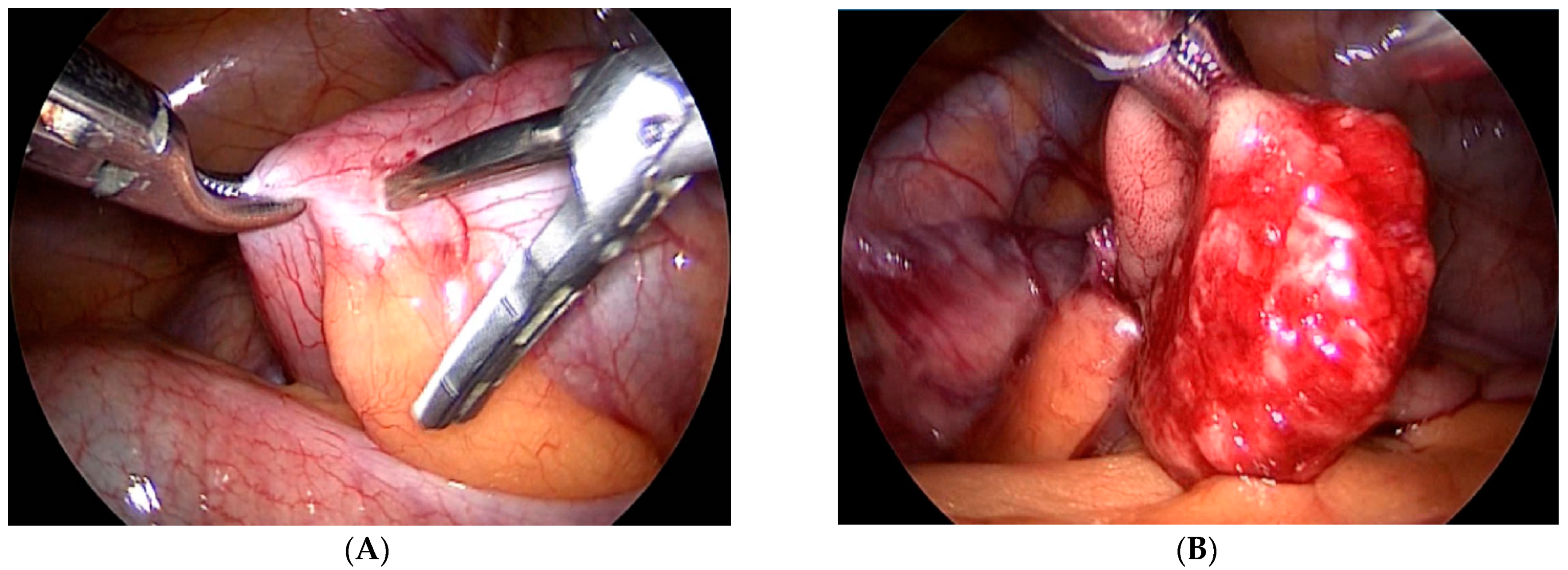 Children 08 00770 g001