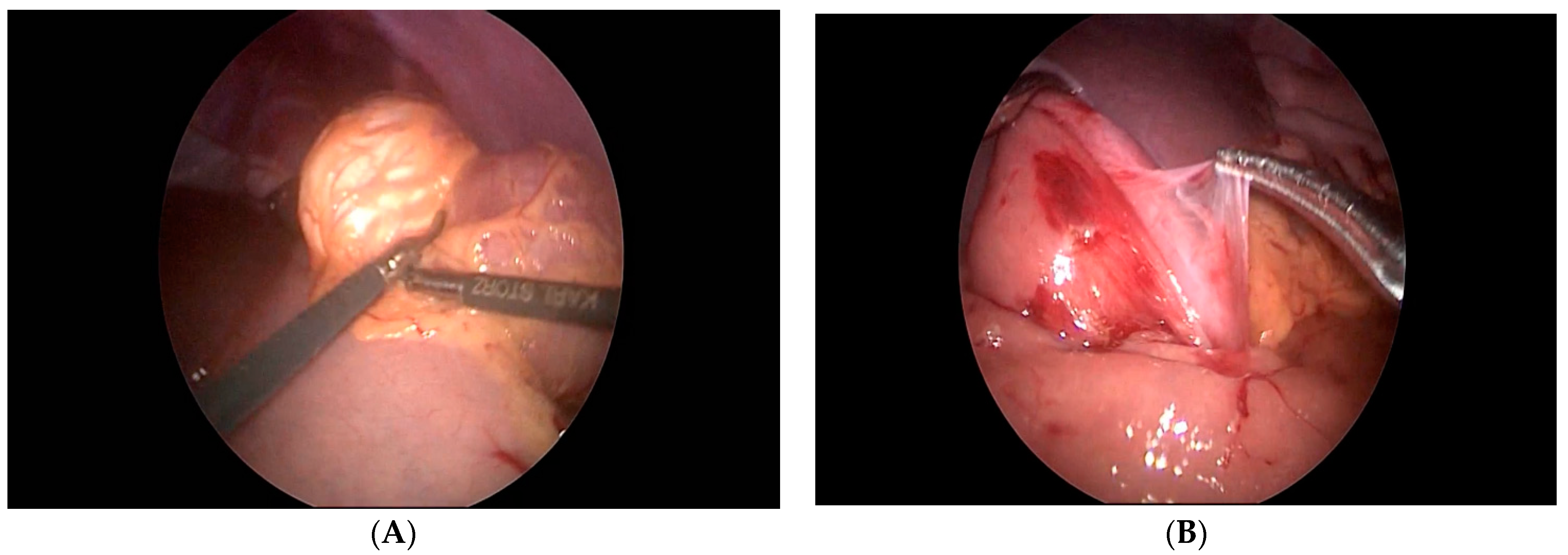 Children 08 00770 g003