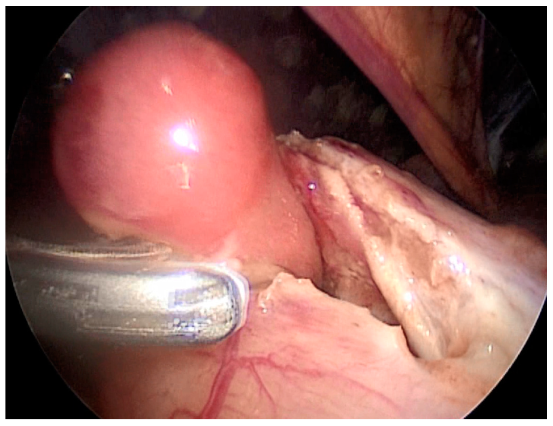 Children 08 00770 g005