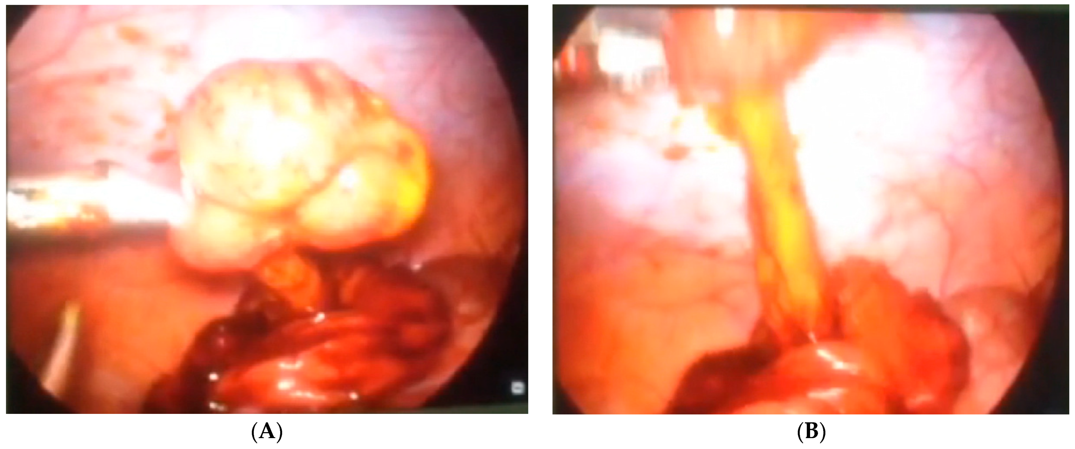 Children 08 00770 g006