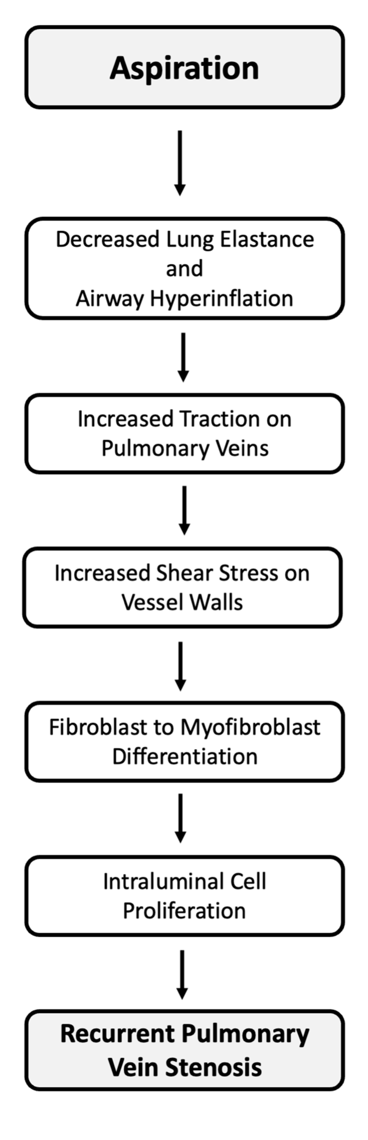 Children 08 00783 g001