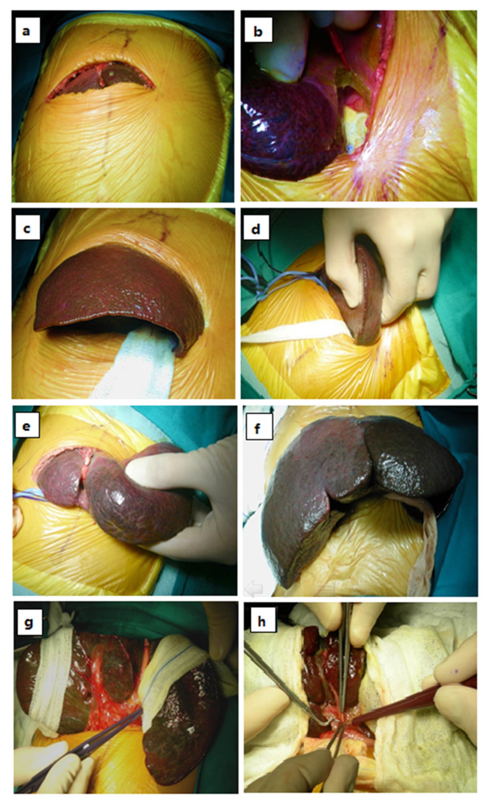 Children 08 00820 g001 Children 08 00820 g001