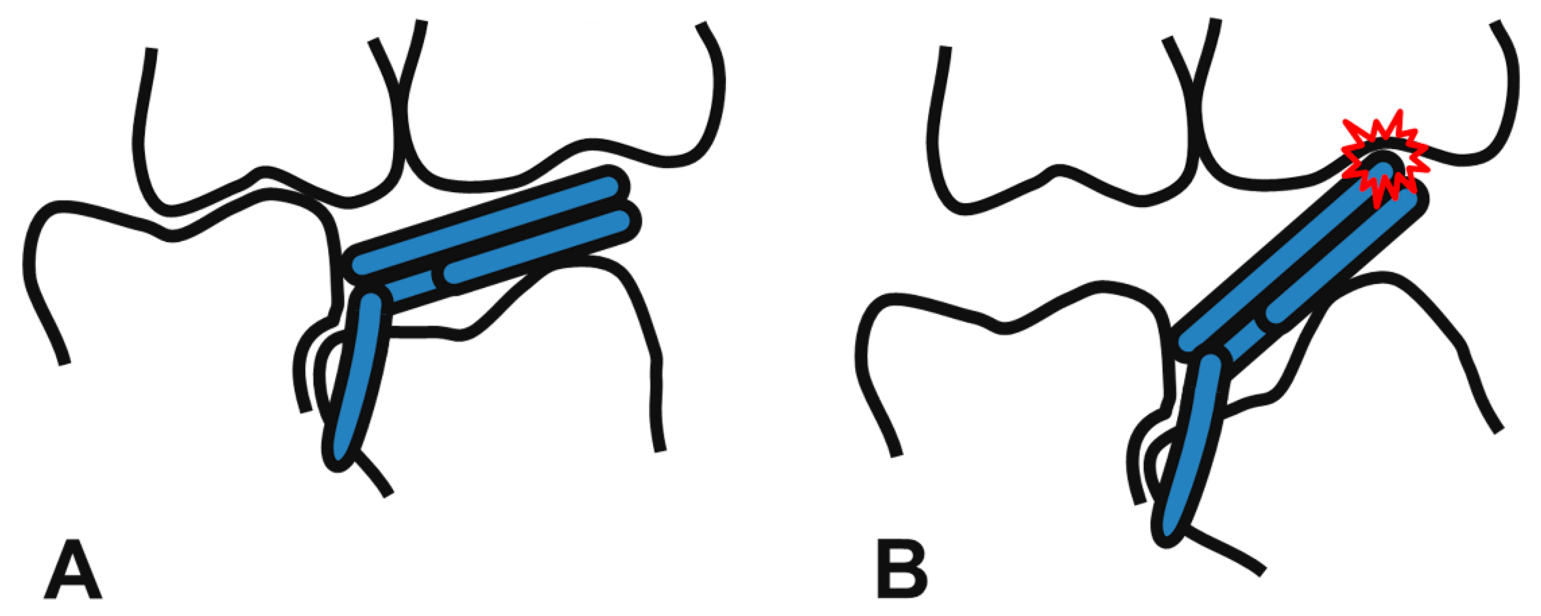 Children 08 00823 g004