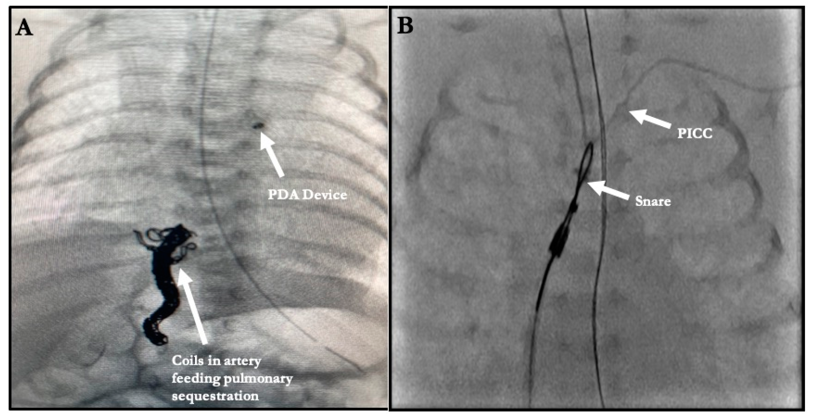 Children 08 00826 g002 Children 08 00826 g002