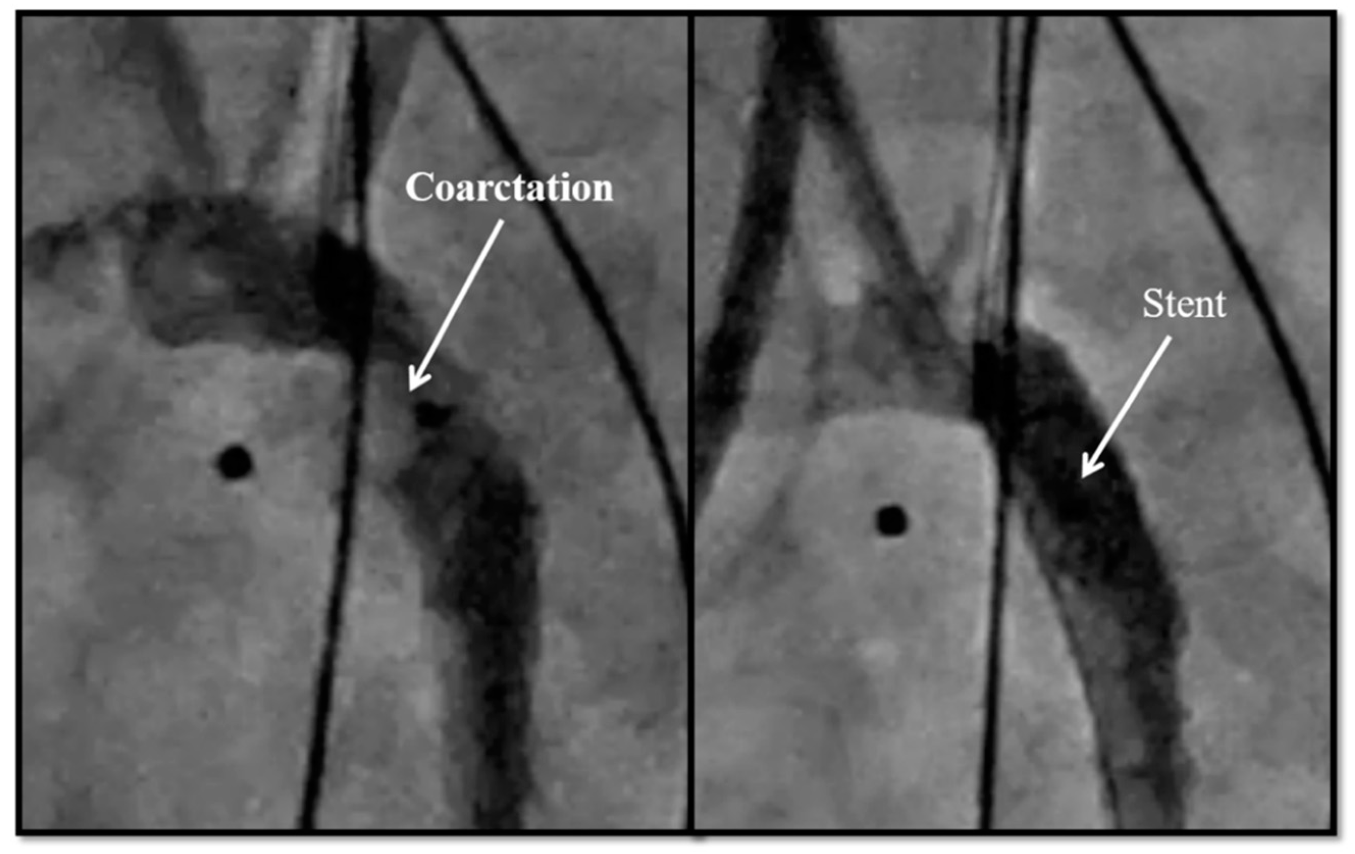 Children 08 00826 g003 Children 08 00826 g003