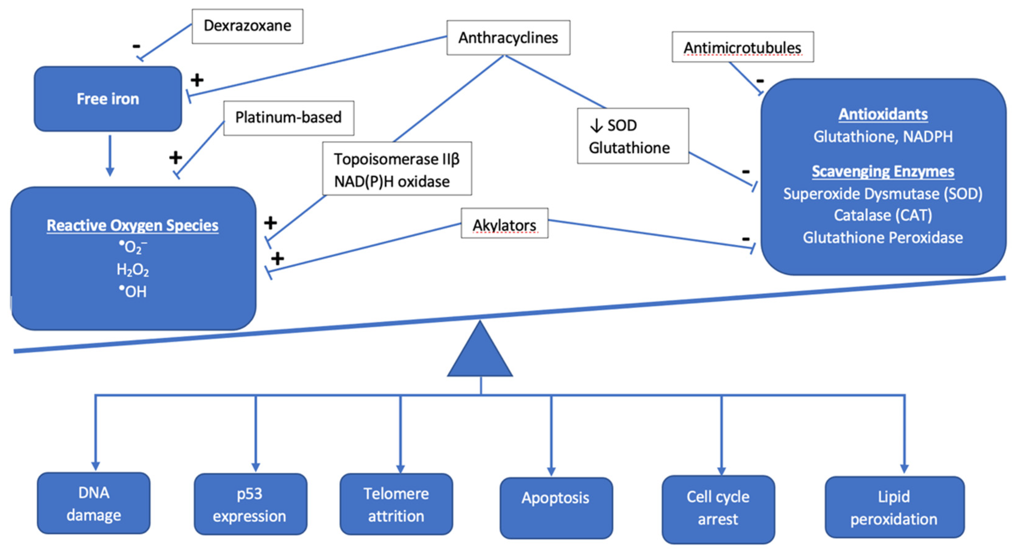 Children 08 00829 g001