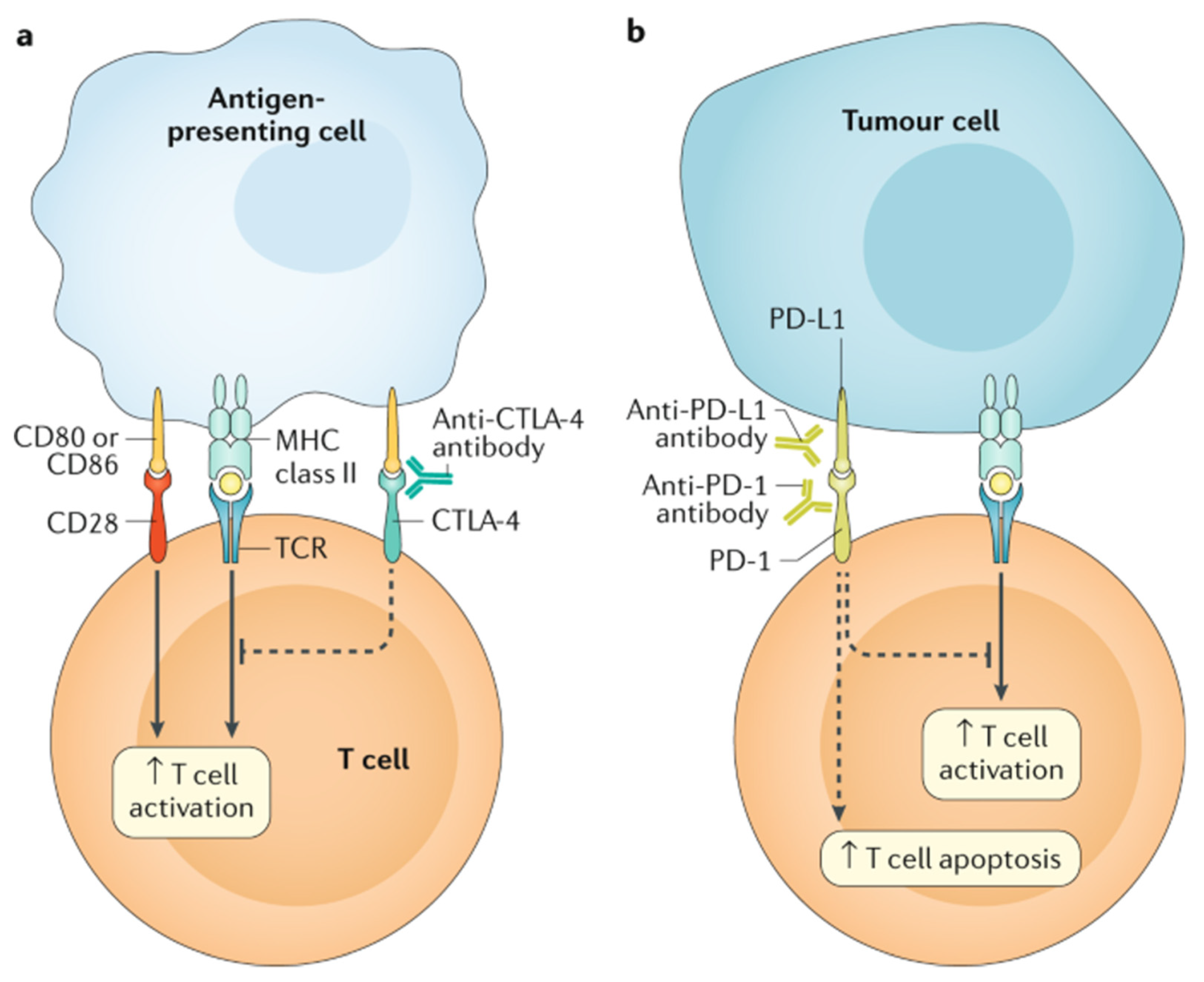 Children 08 00829 g002