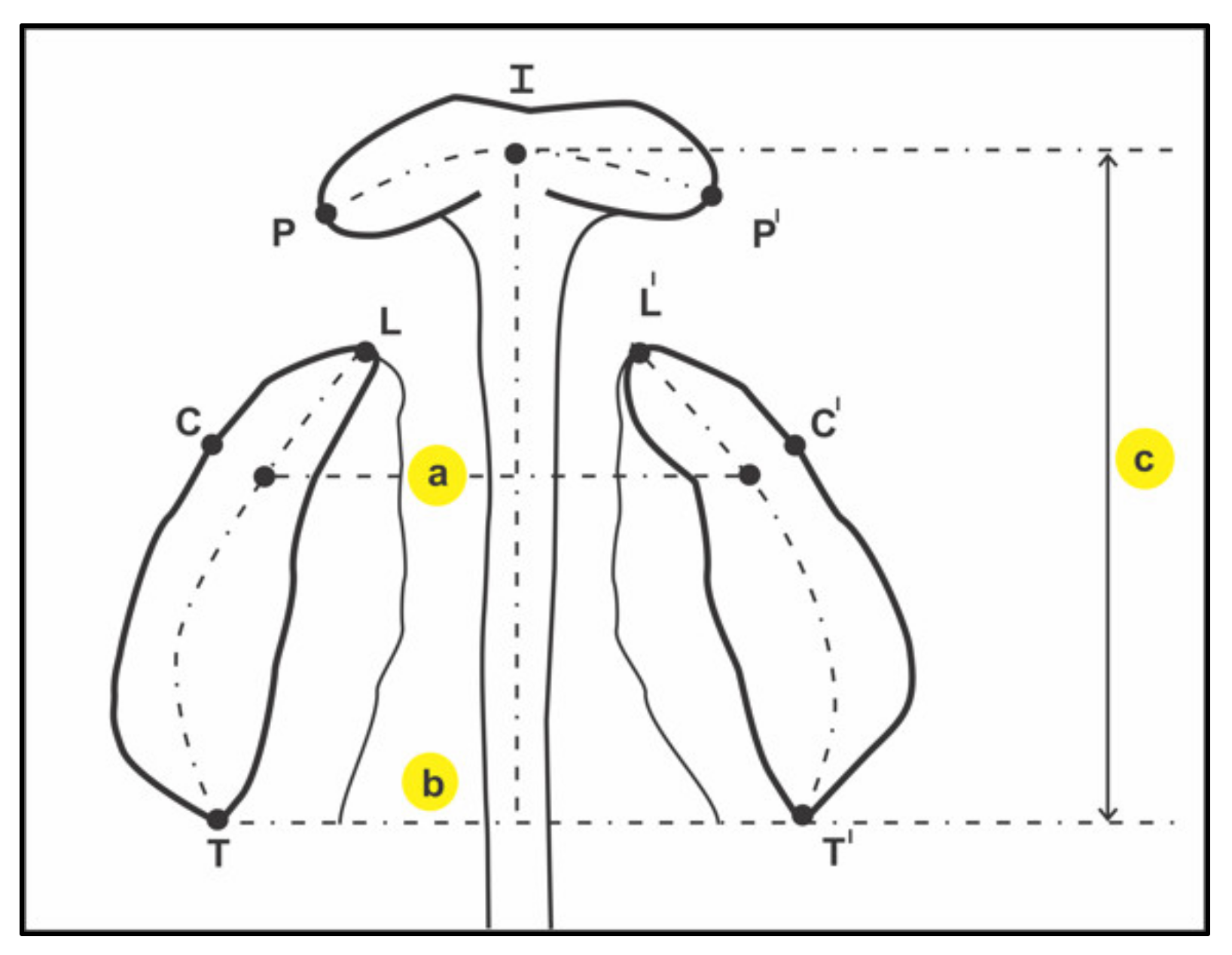 Children 08 00893 g003