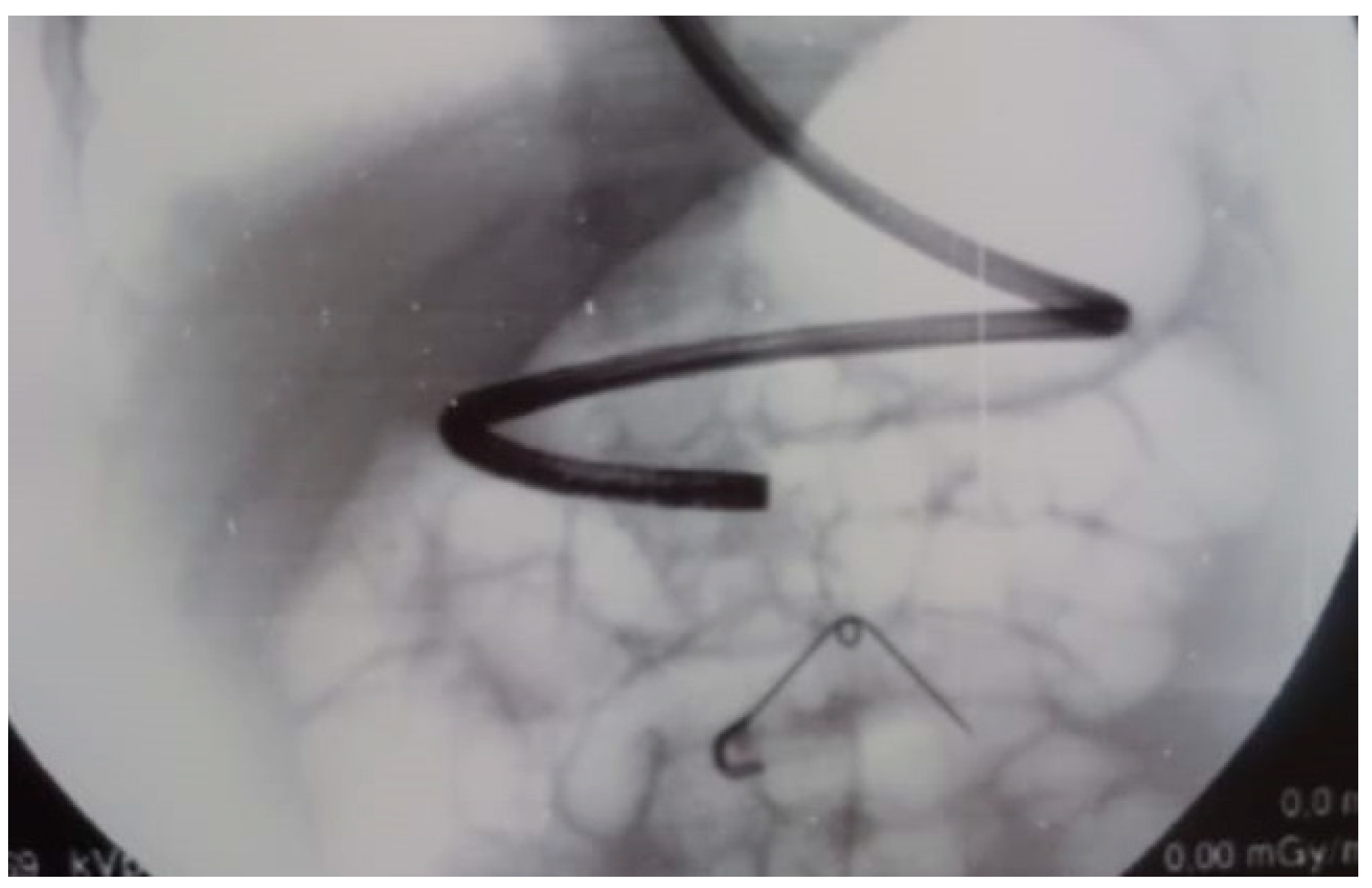 Children 08 00898 g001